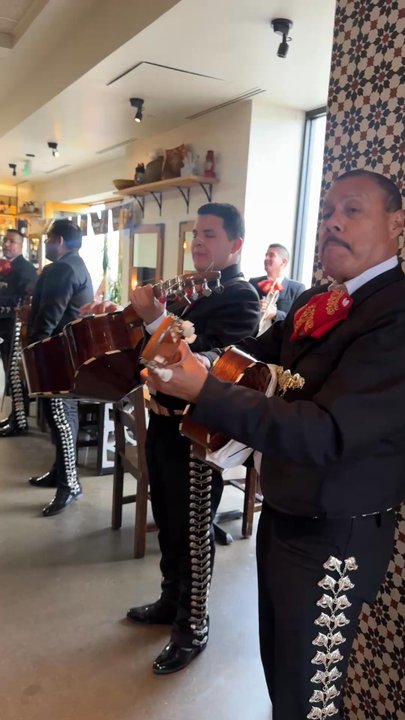 Flores Corte Madera - Cinco De Mayo - Mexican Near Me - Corte Madera, California