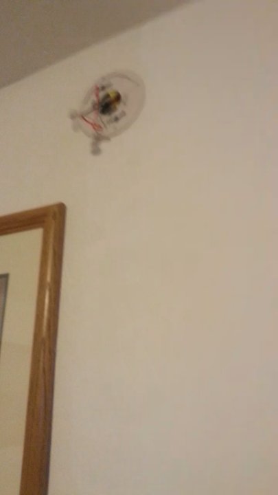 Lee Vining Motel - Smoke detector doesn't work and not hooked up. Room 8 - Hotels Near Me - Lee Vining, California