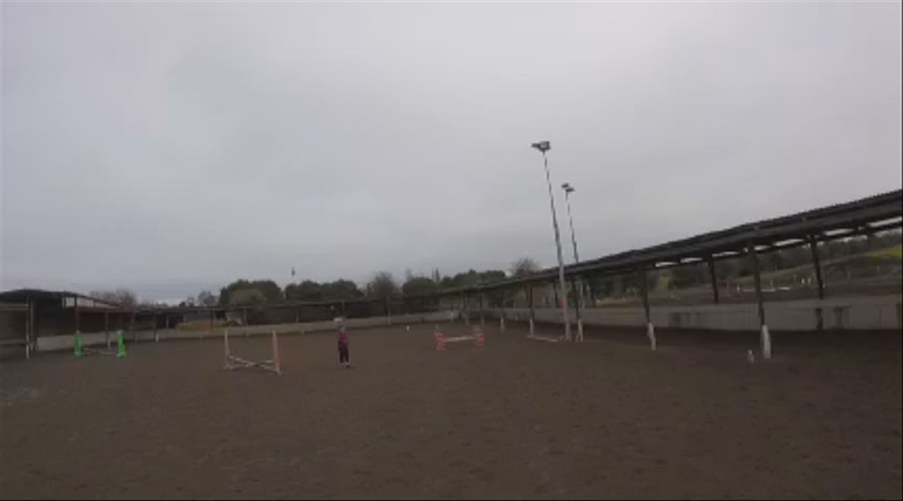St Leonards riding school - that little jump - Horseback Riding Near Me - Nottingham, NTT