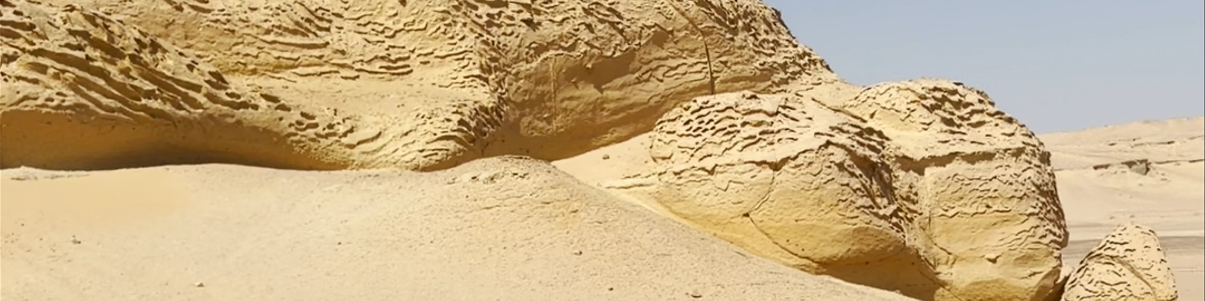 Wadi Hitan National Park