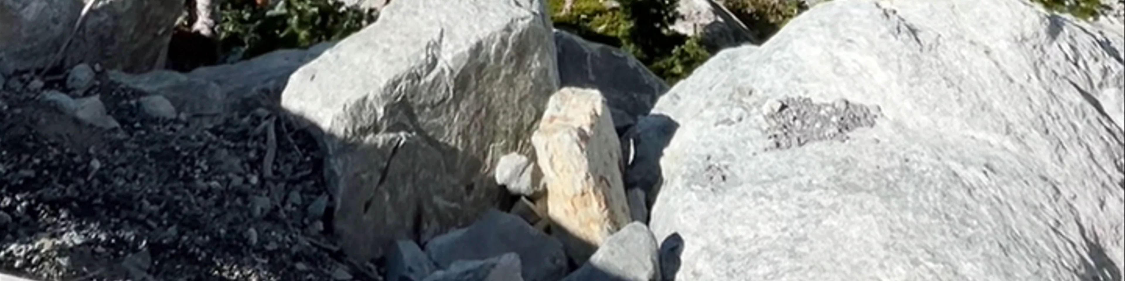 Whistler Blackcomb