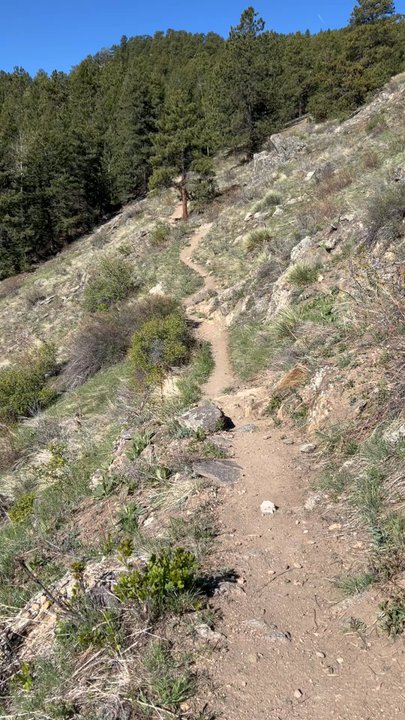 Elk Meadow Park - Bergen Peak - Dog Parks Near Me - Evergreen, Colorado