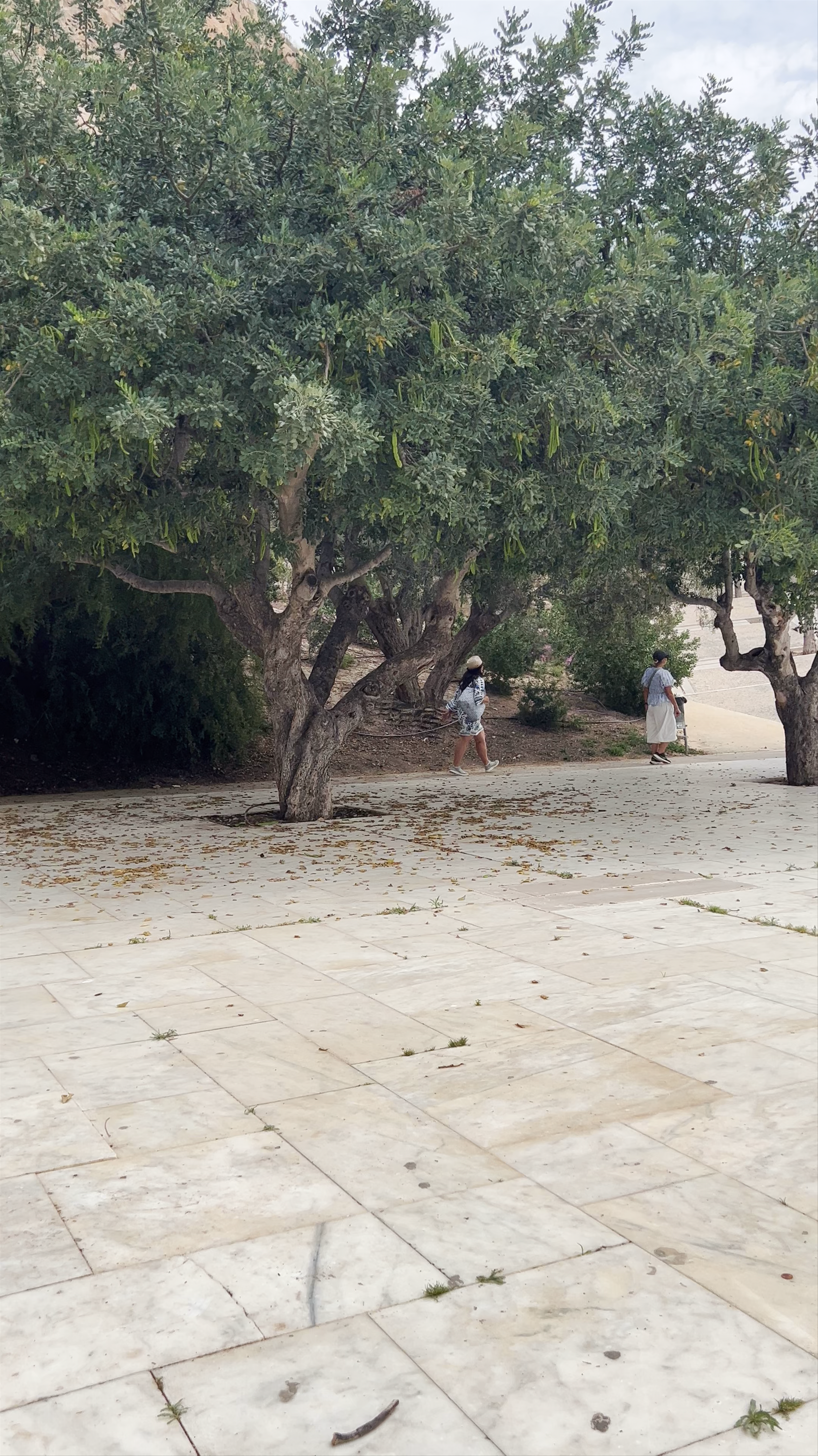 Parque La Ereta