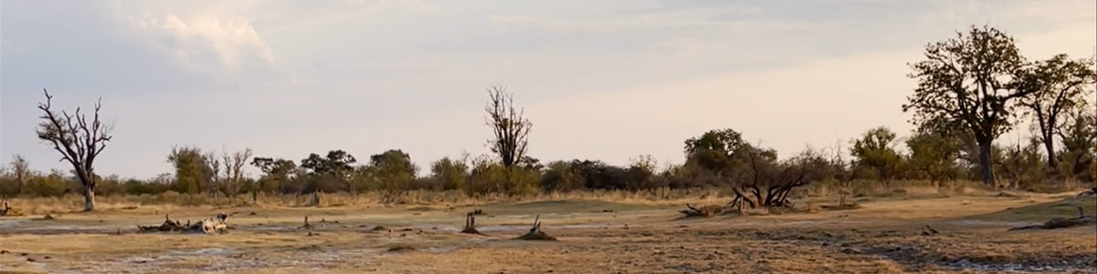 Botswana