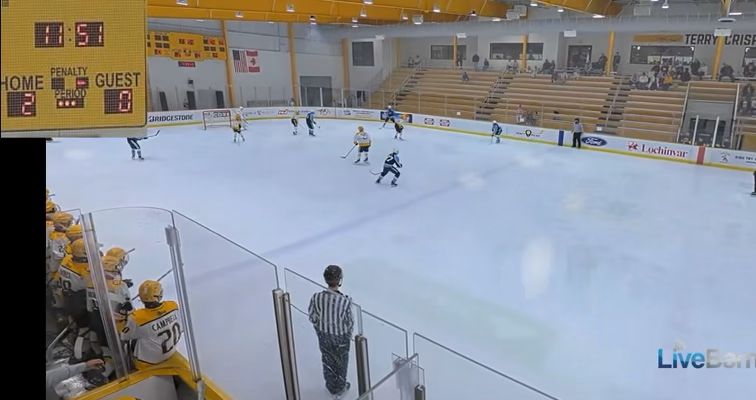 Mason Garrett's Stunning Goal Sparks Comeback for Jr. Predators