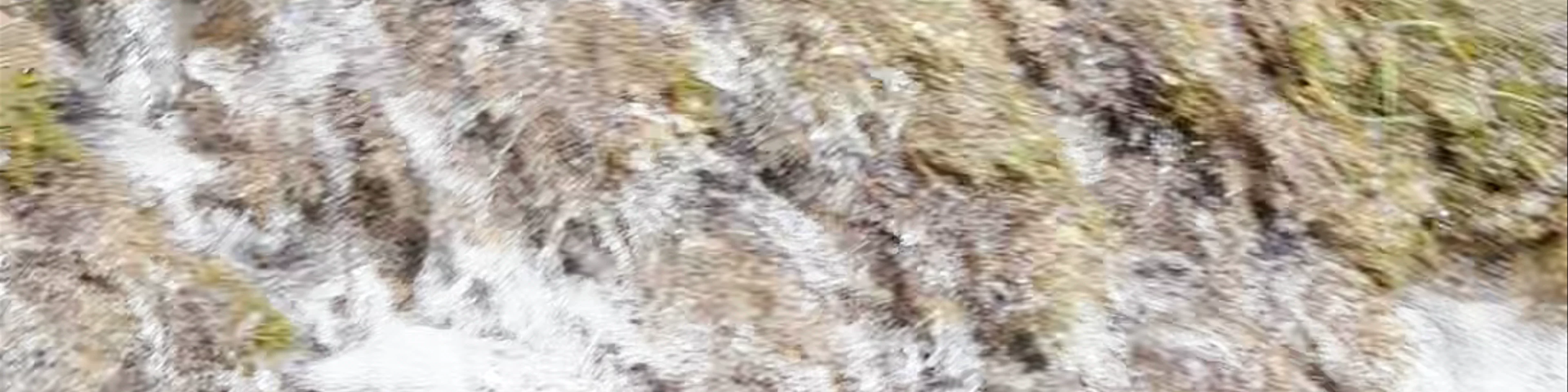Paseo del Molinar