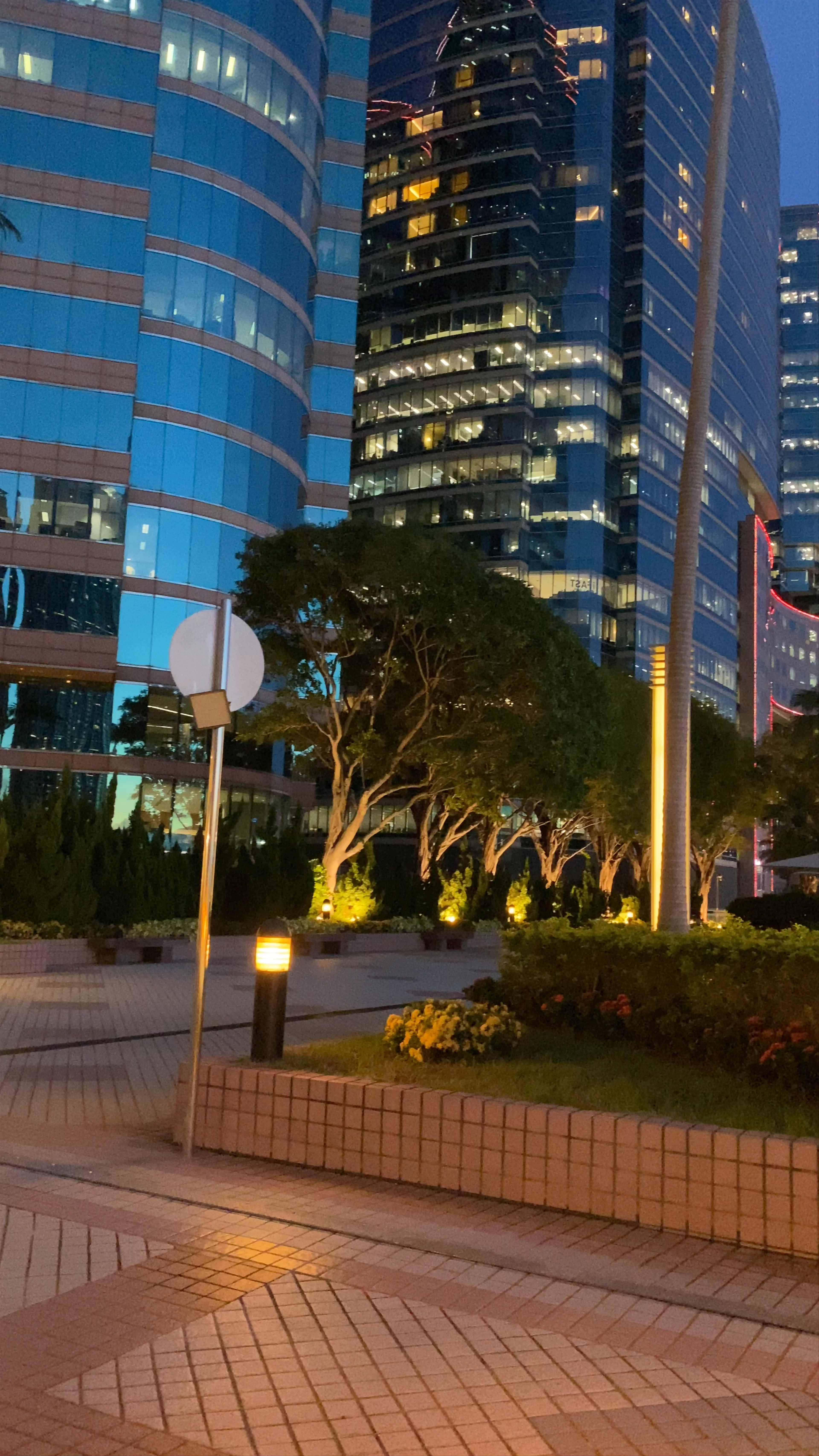 Dolphin Sunset, Tsim Sha Tsui
