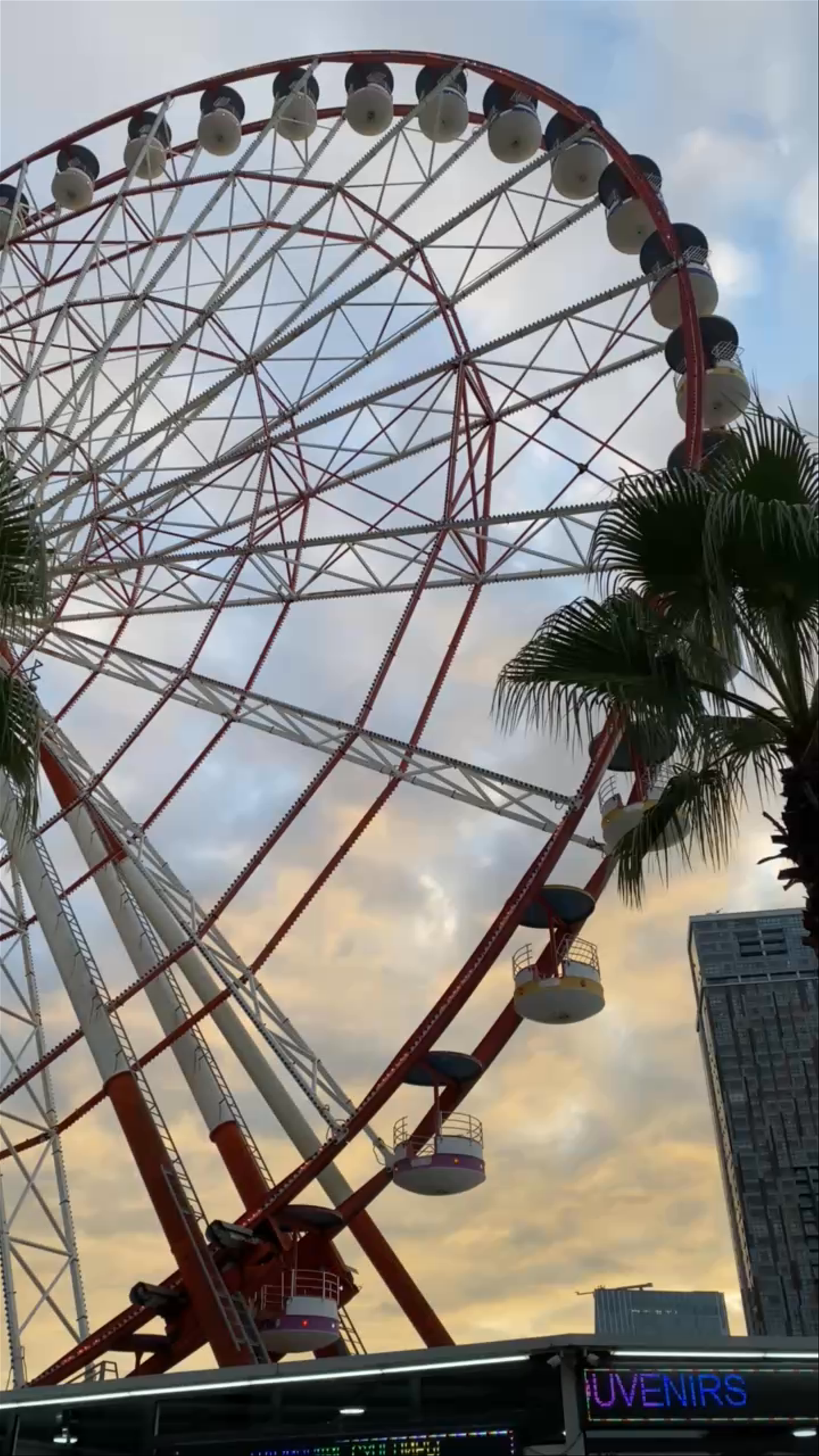 Batumi Tower Ferris Wheel: Sunset Views in Batumi, Georgia