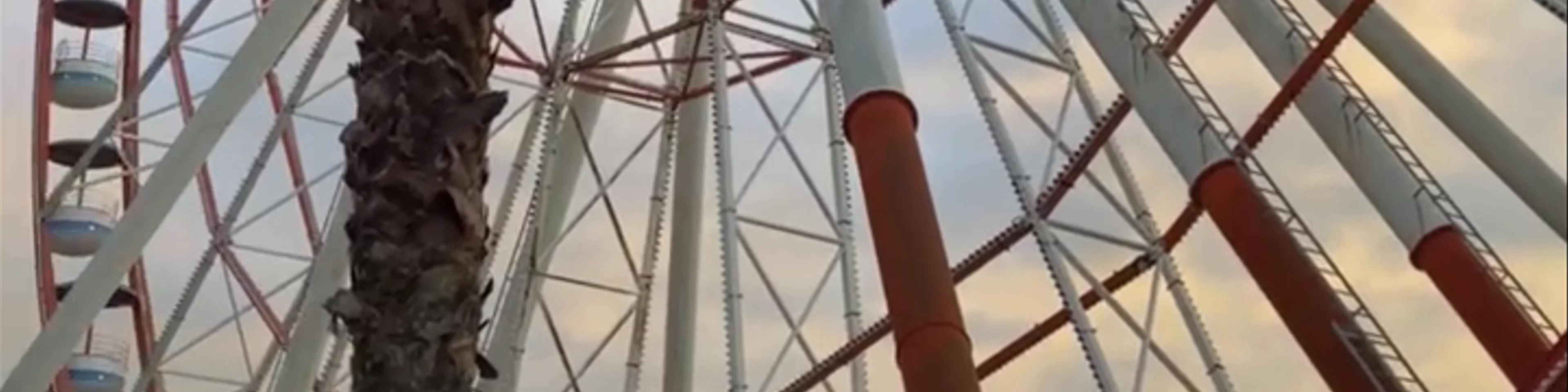 Batumi Tower Ferris Wheel