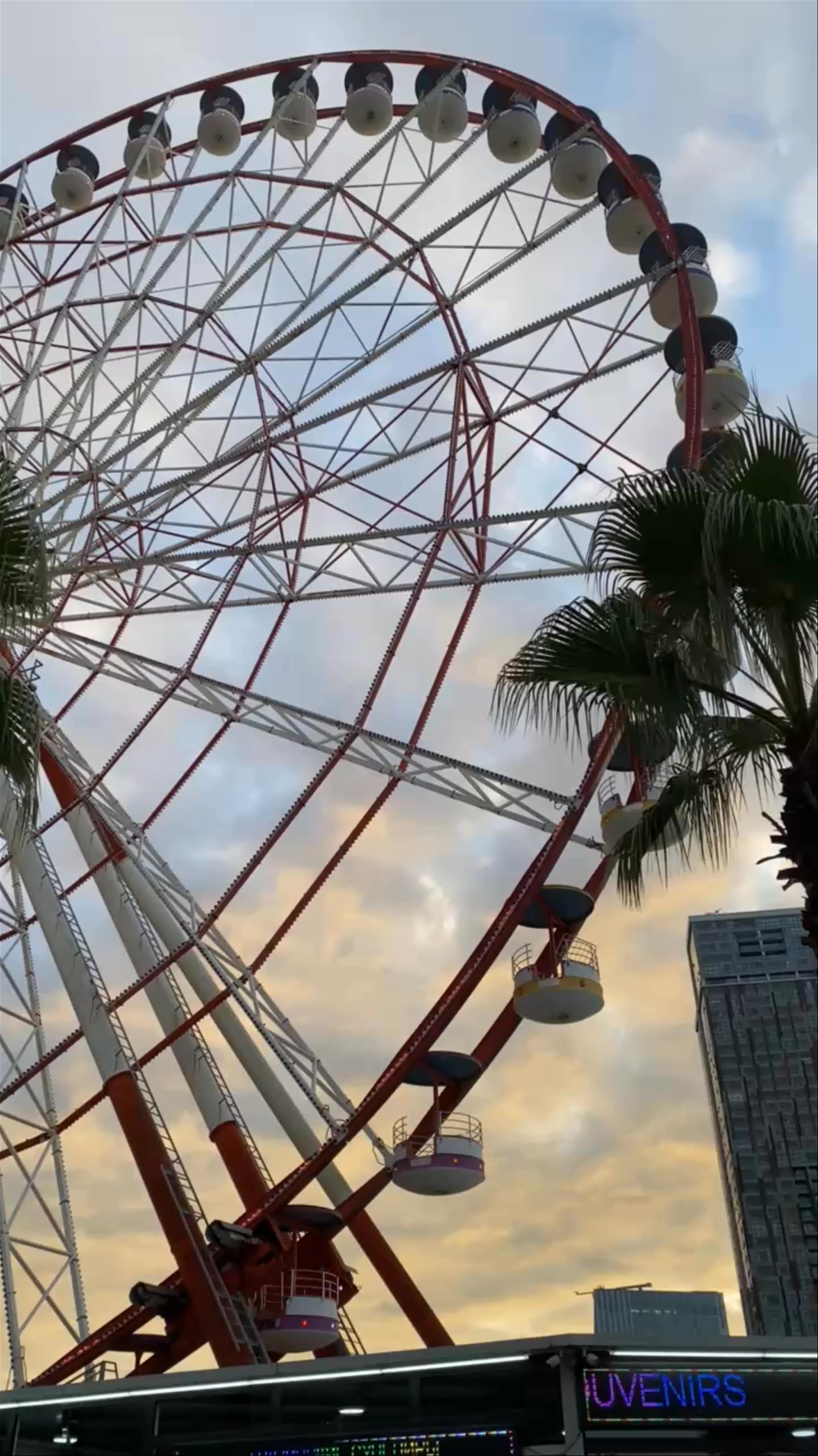 Batumi Tower Ferris Wheel