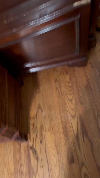 Blue Star Movers - Movers Near Me - Fort Edward, New York