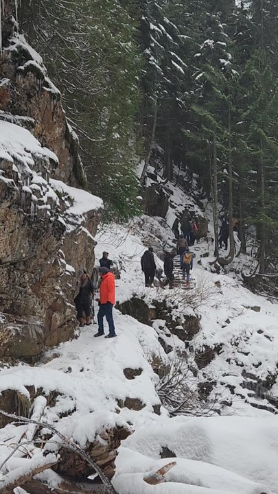 Franklin Falls Trailhead - Hiking Near Me - North Bend, Washington