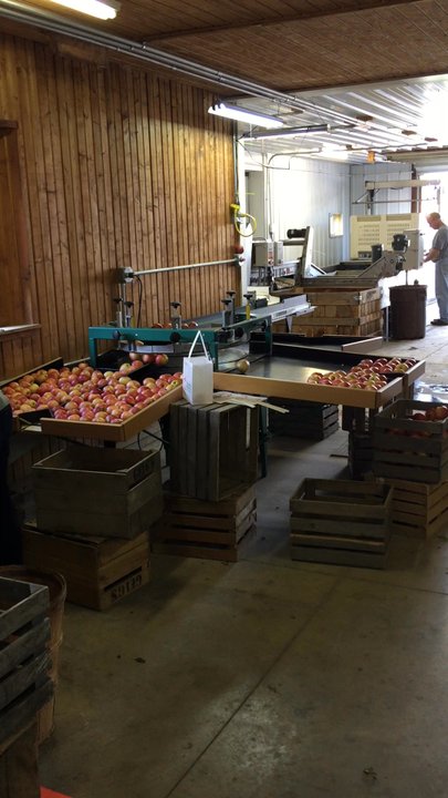 Geig's Orchard - Pick Your Own Farms Near Me - Seville, Ohio