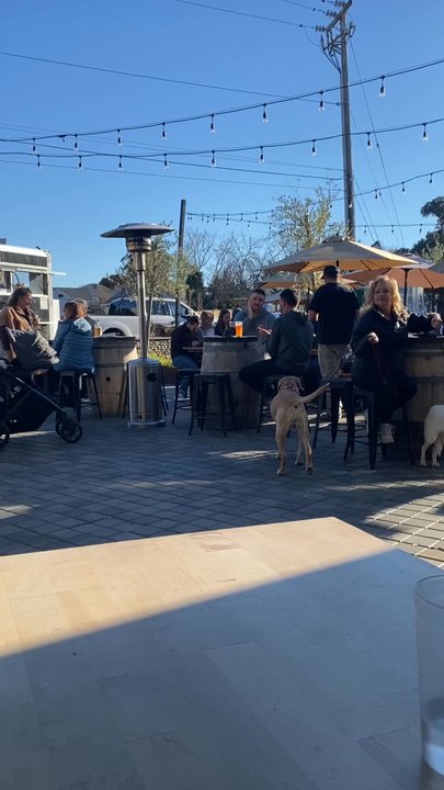 Five Suns Brewing - Outdoor seating and food truck - Breweries Near Me - Martinez, California
