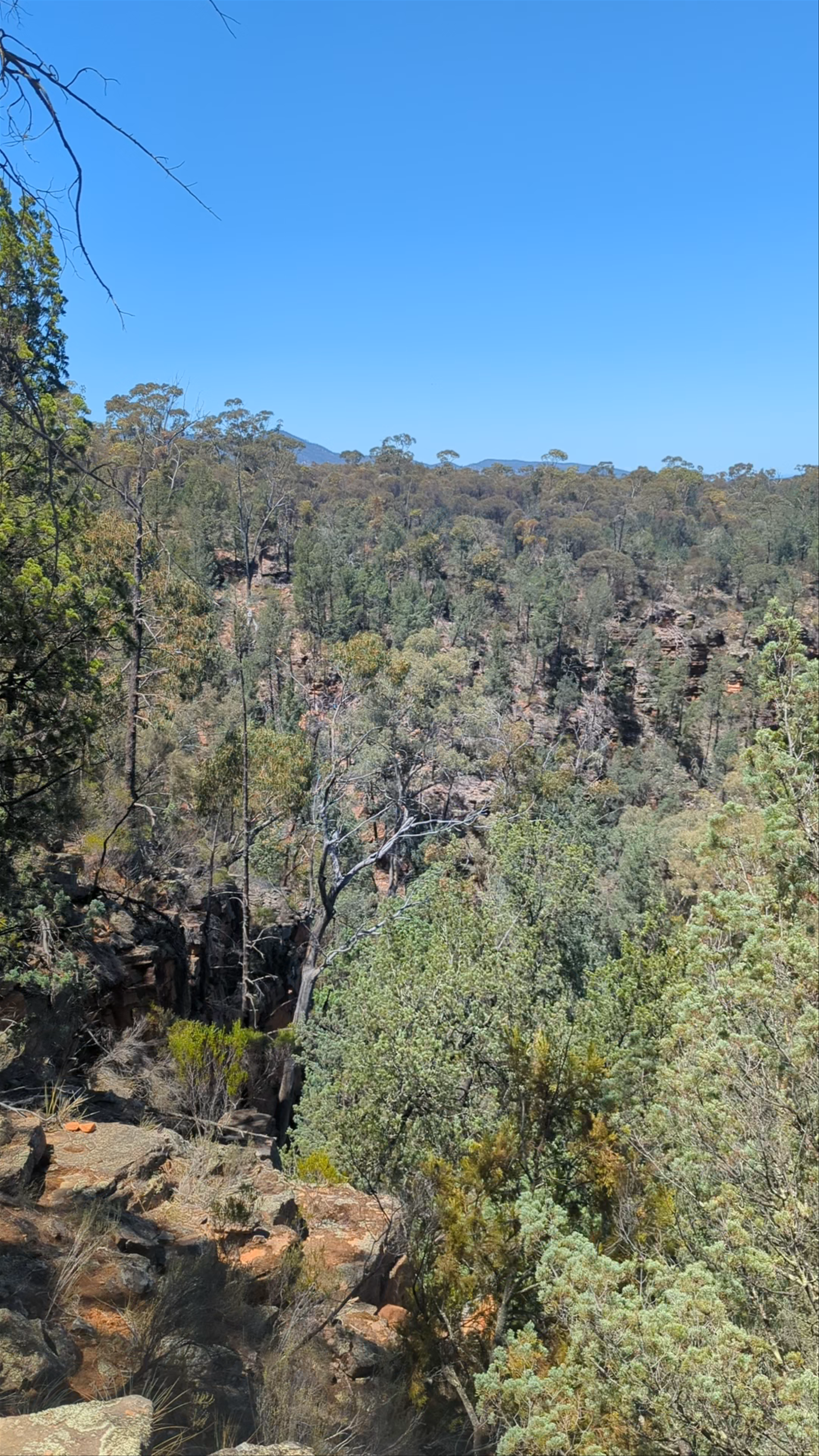 Gorge Lookout
