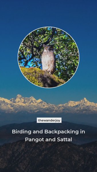 Photo of Birding and Backpack