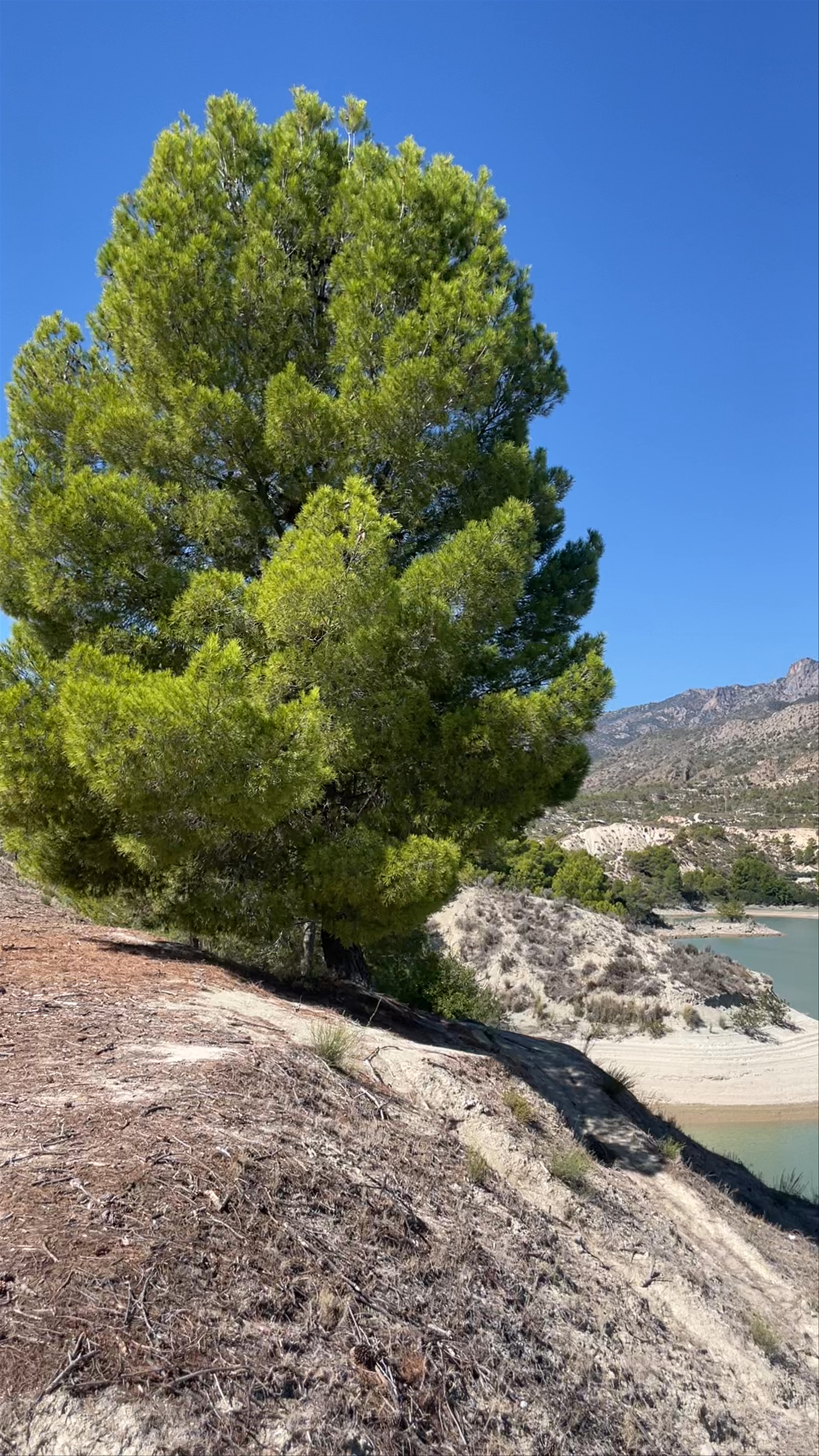 Embalse de Mayés