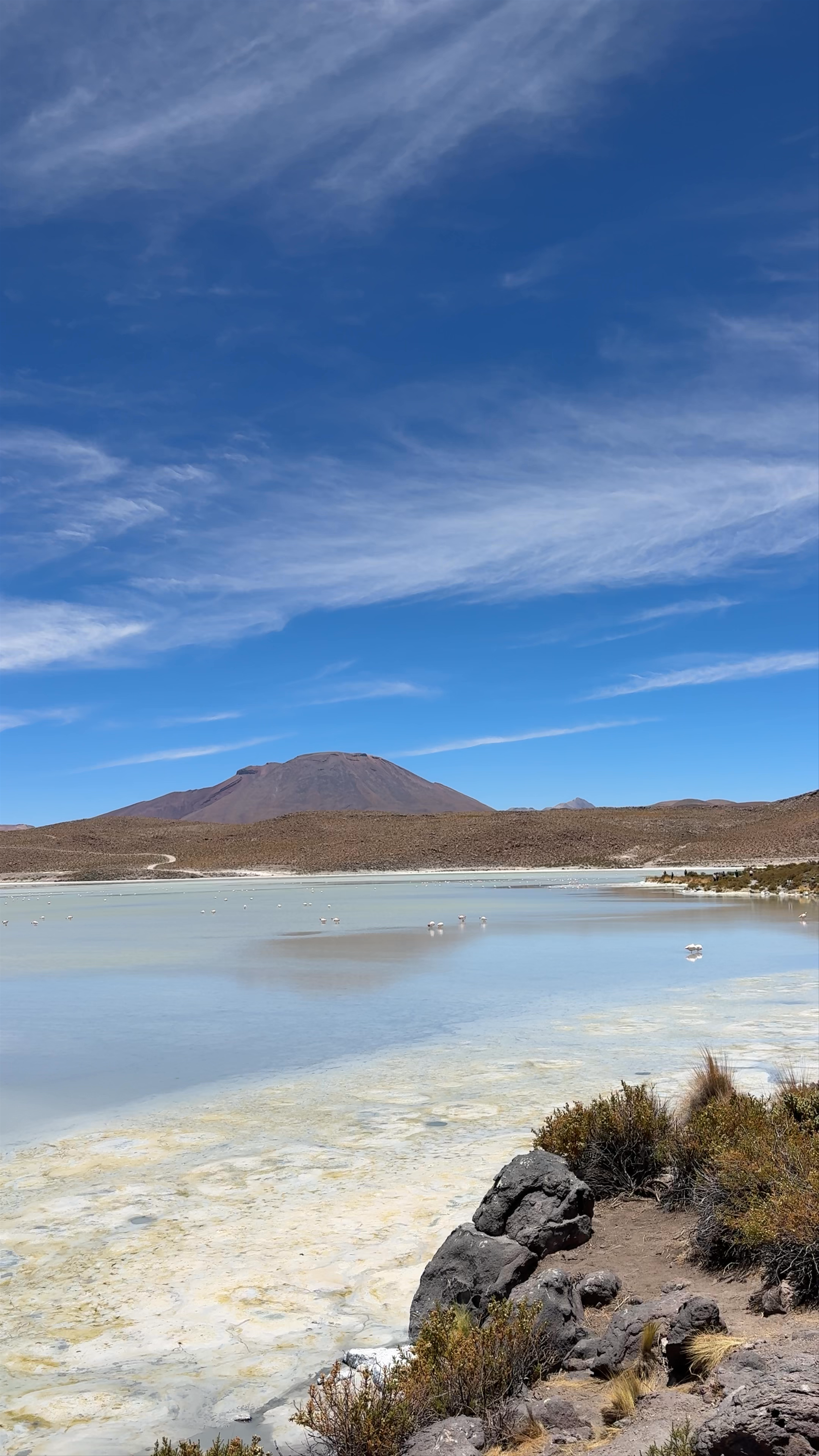 Ventanitas Restaurant at Hedionda Lagoon