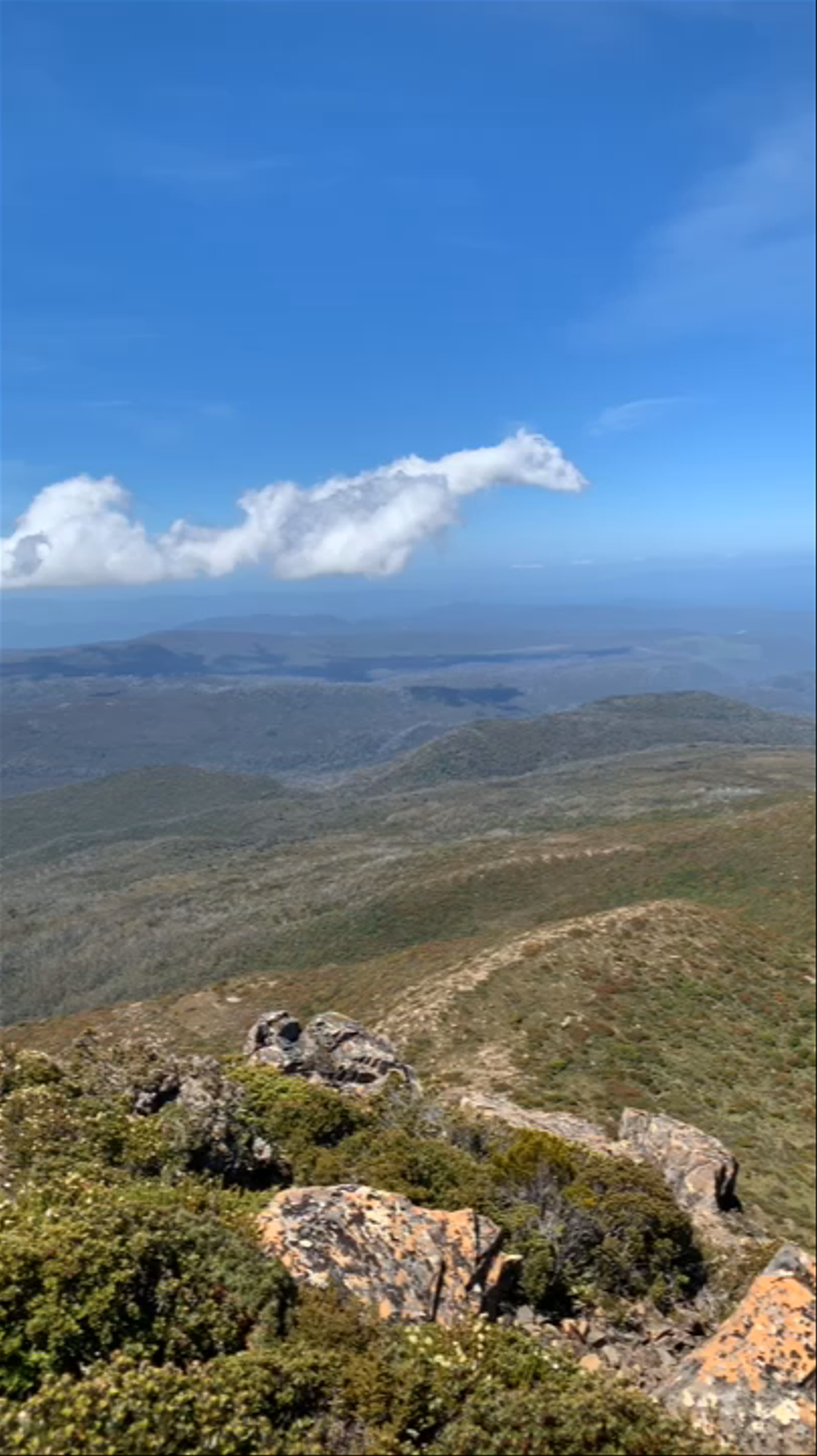 Hartz Mountains National Park