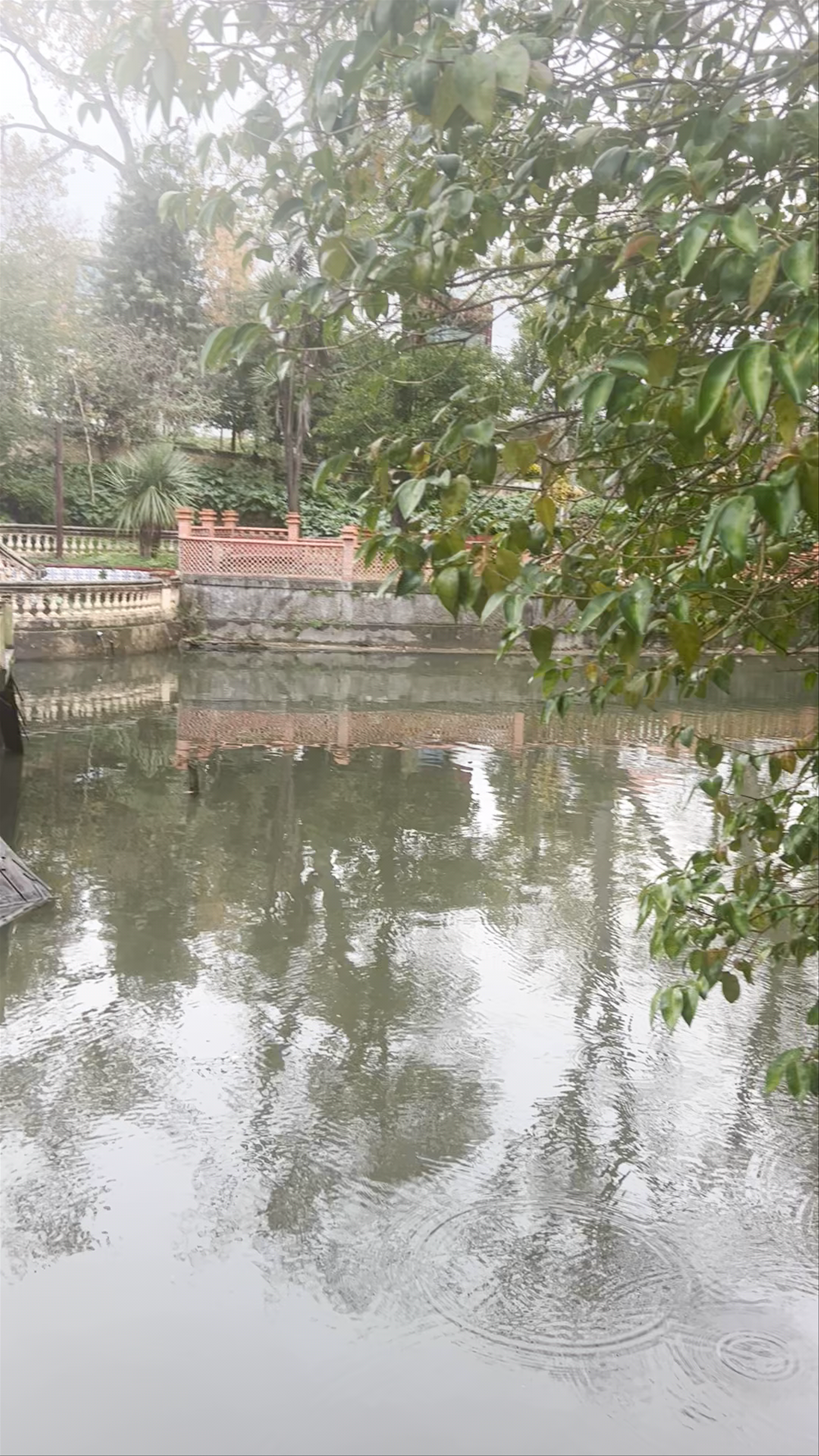 Parque Infante Dom Pedro