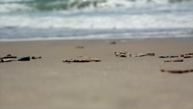 Walking along the beach