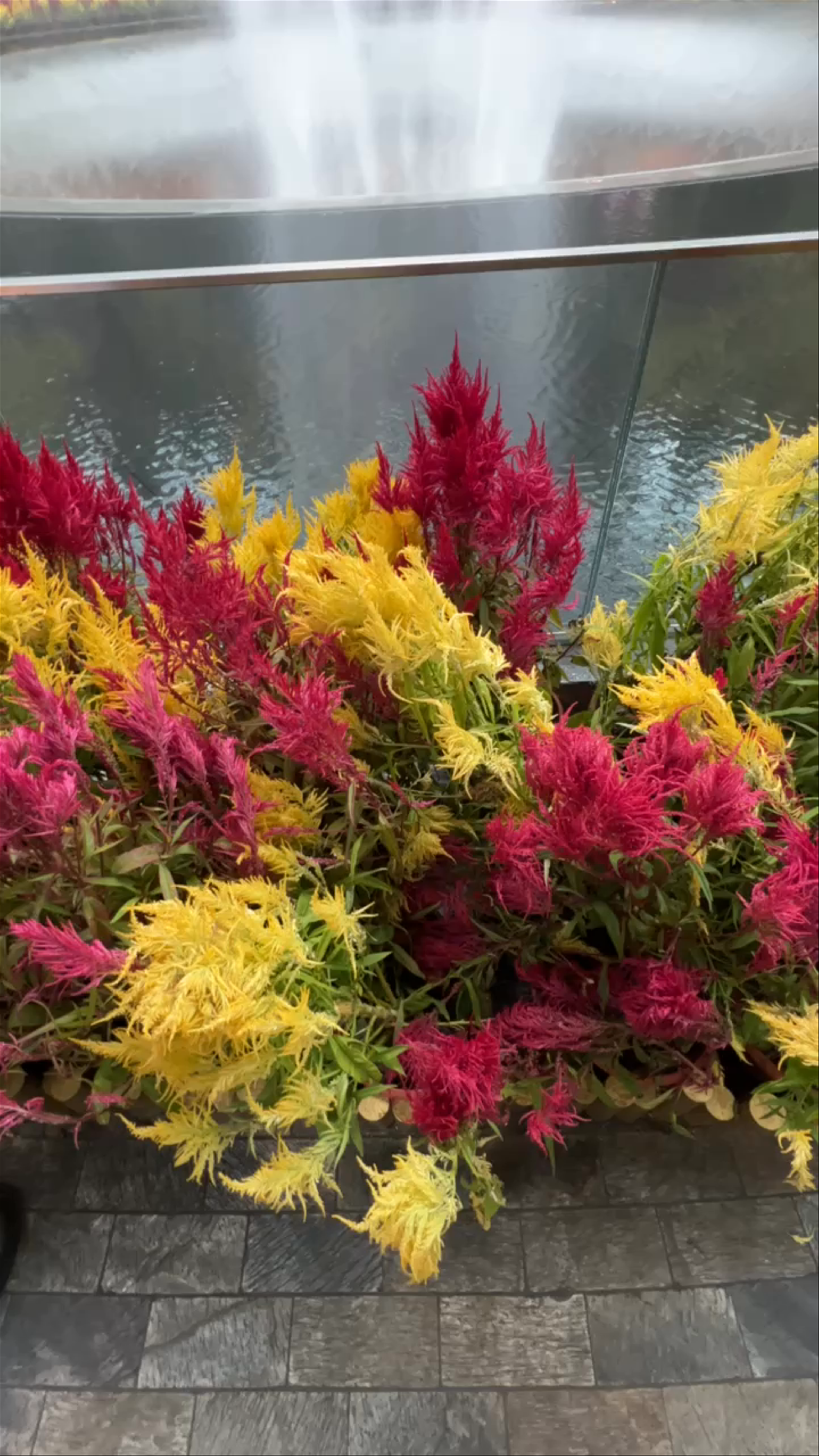 Jewel Changi Airport