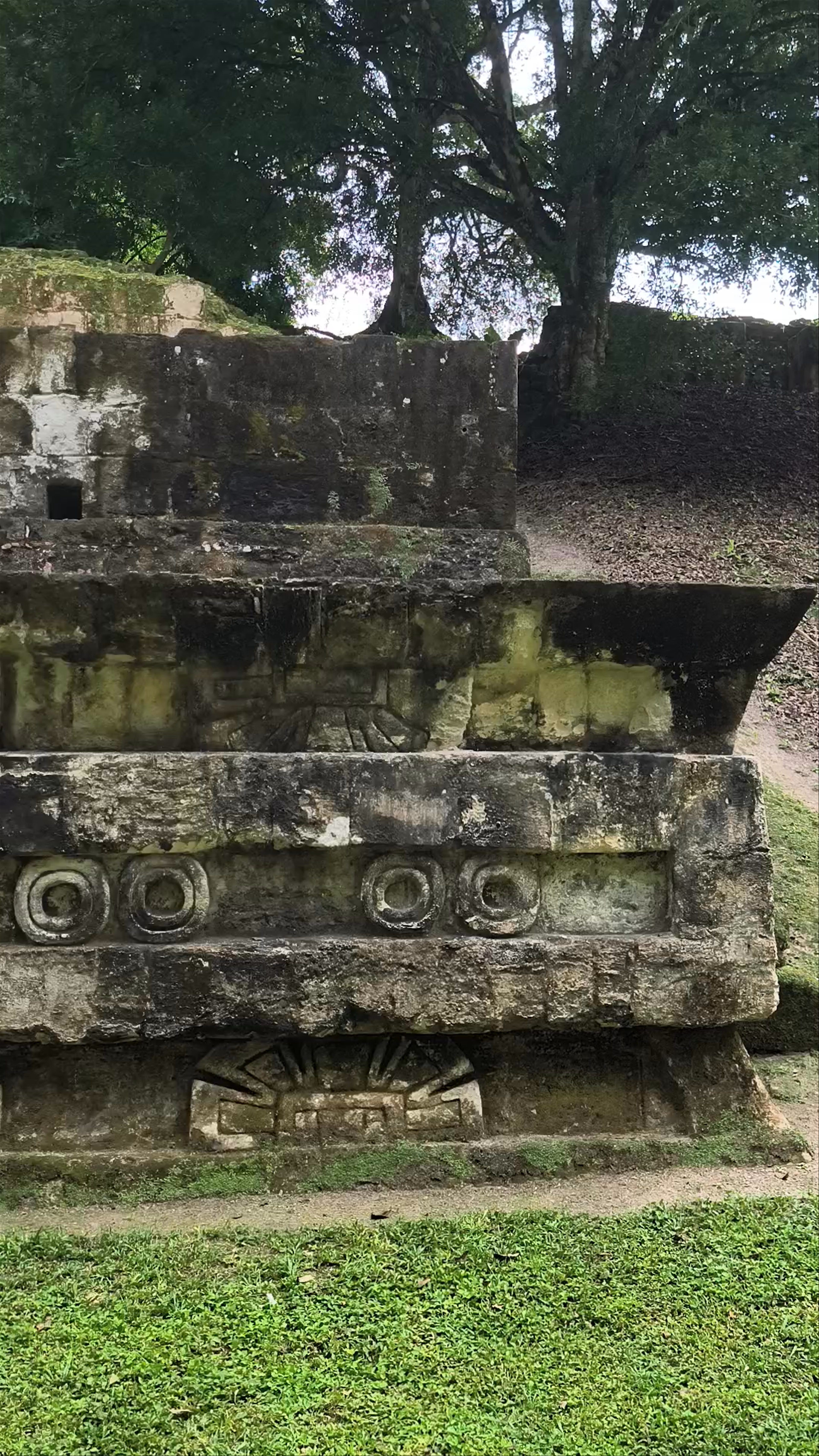 Templo Talud Tablero 5D-43-A: Mystical Maya Ruins in Tikal, Guatemala