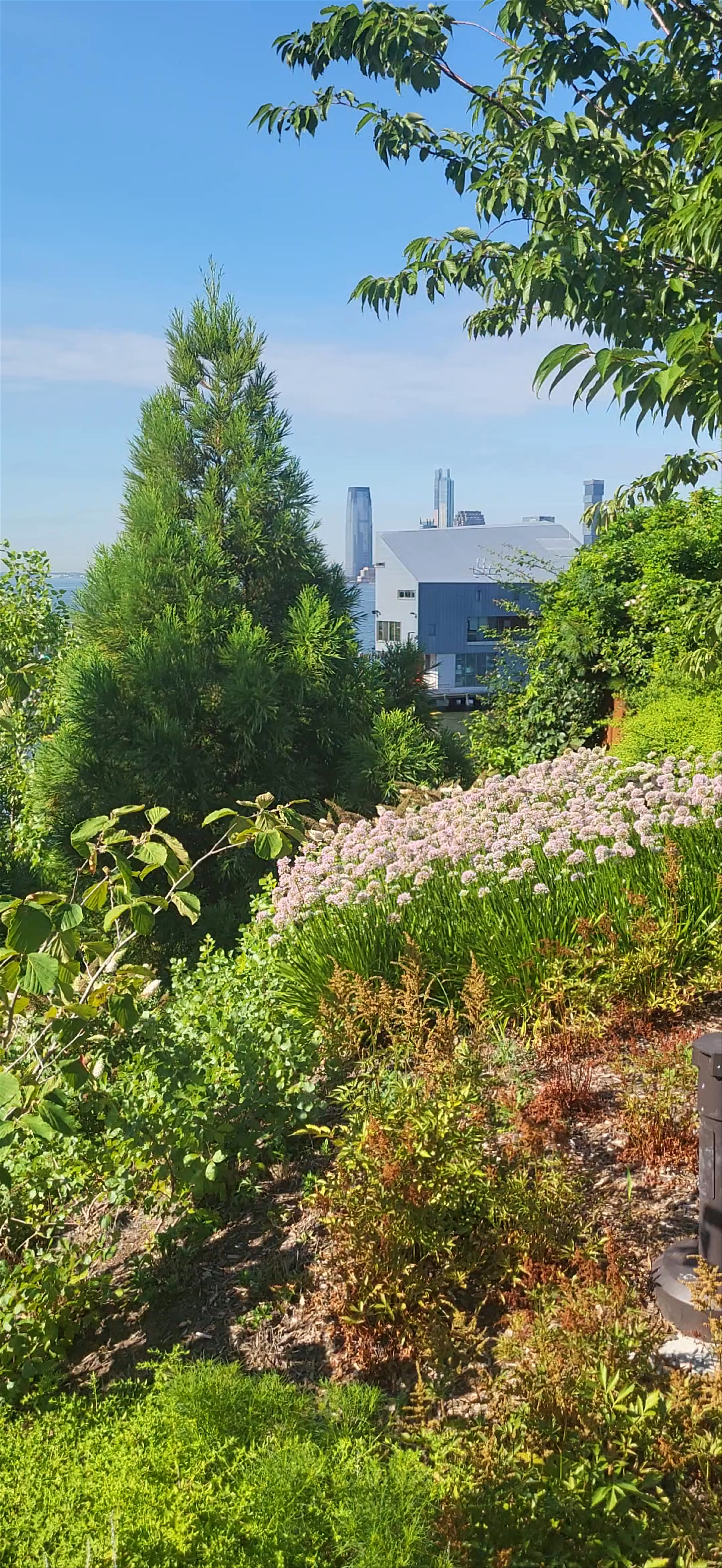 Little Island: Urban Oasis in New York City