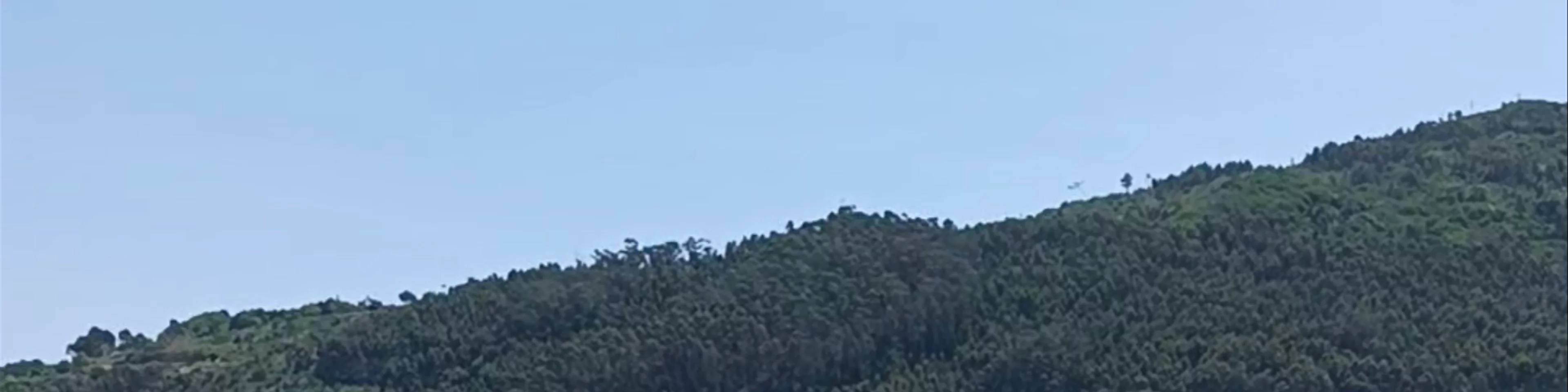 A Guarda Escrita nas Estrelas