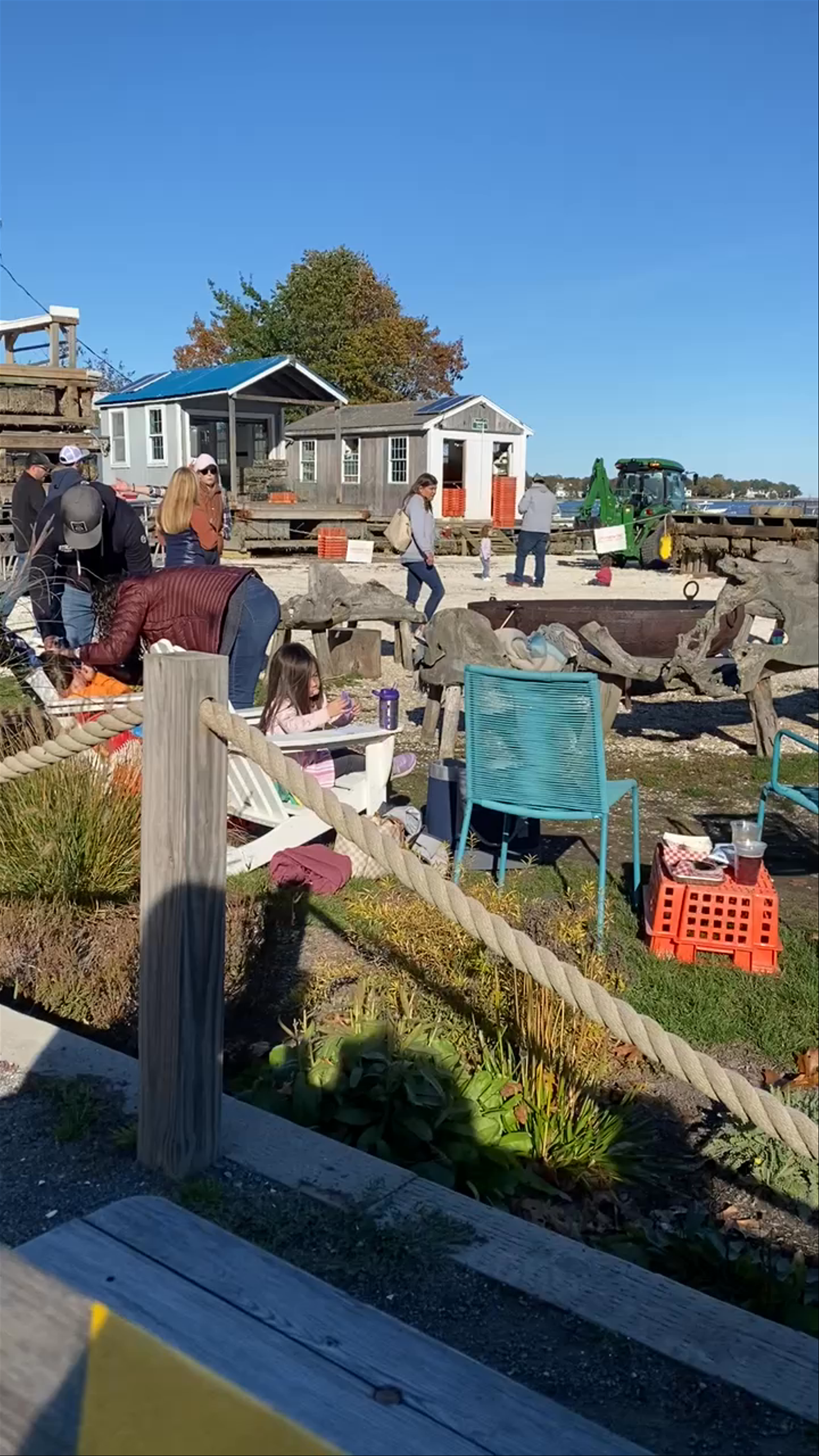 Island Creek Oysters