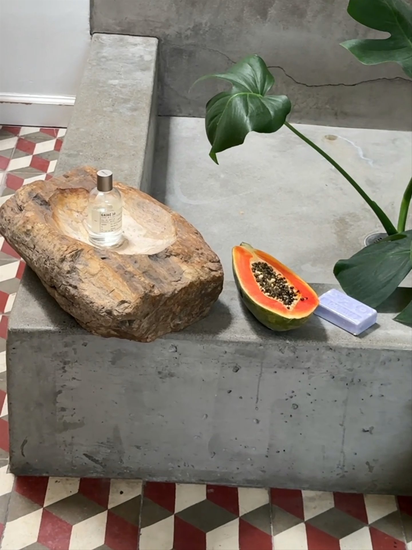 Petrified Wood Bowl