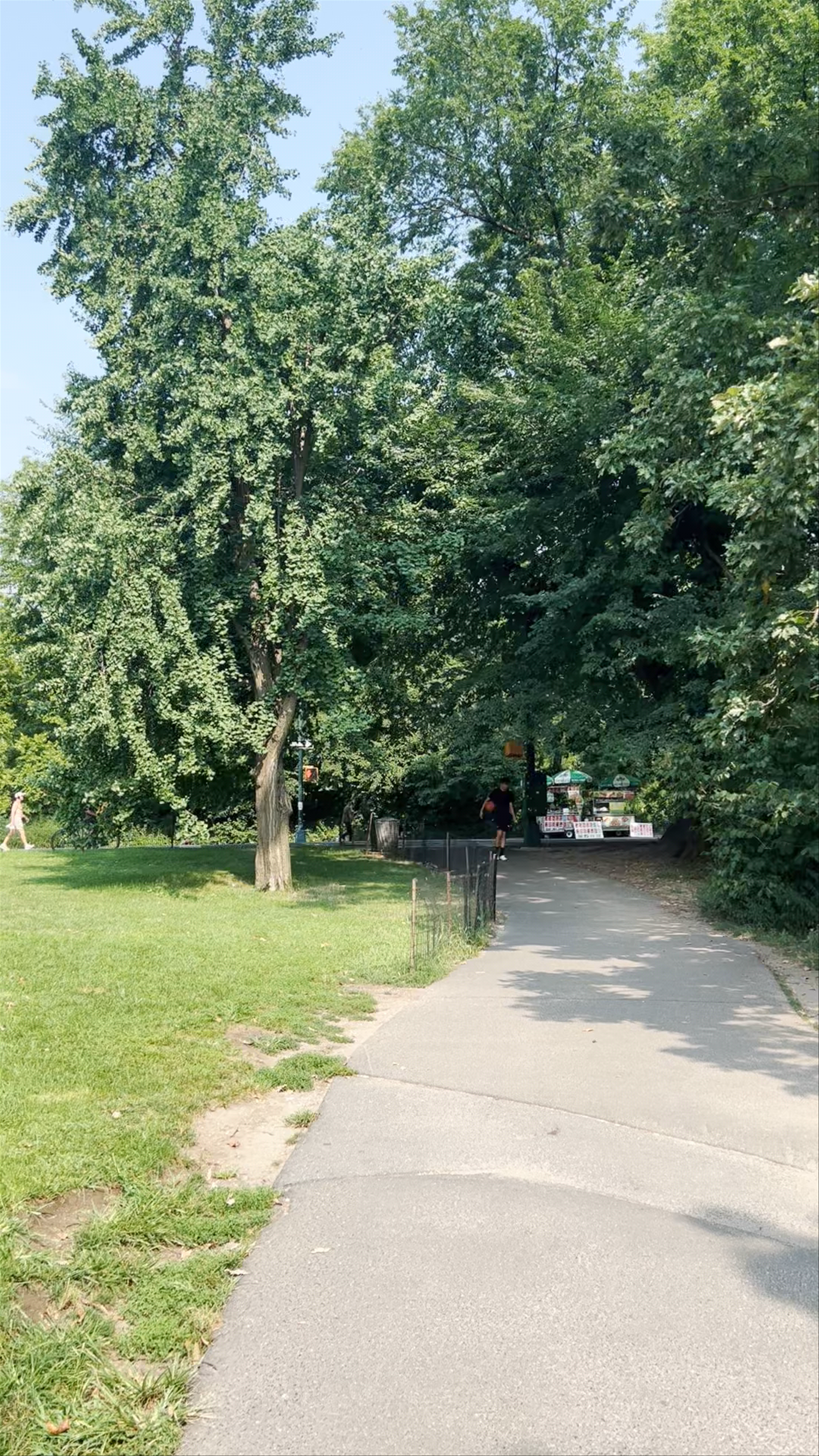 Serene Summer Day at Central Park, New York