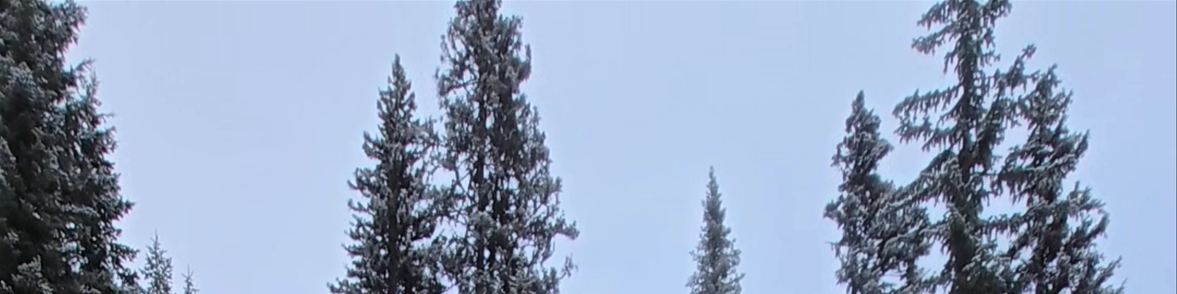 Emerald Lake Lodge