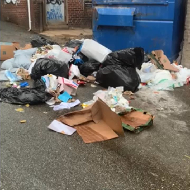 Dodson Property Management - Rat infested and garbage piles in 525 E Grace St - Property Management Near Me - Richmond, Virginia