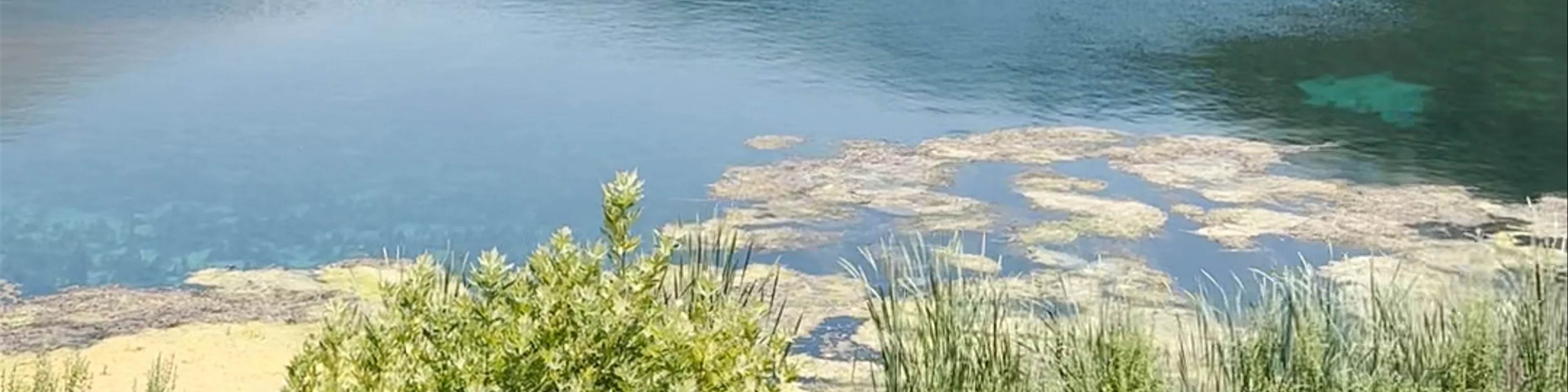 Dam of Bistrica