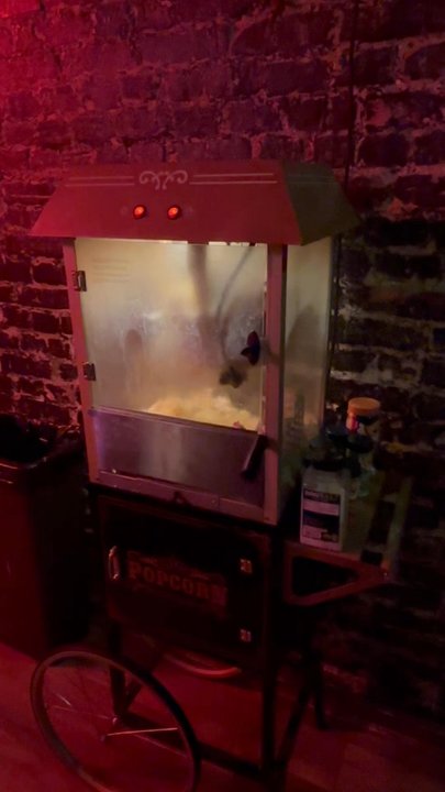 Snappy's Small Bar - popcorn - Dive Bars Near Me - Washington, DC, District of Columbia