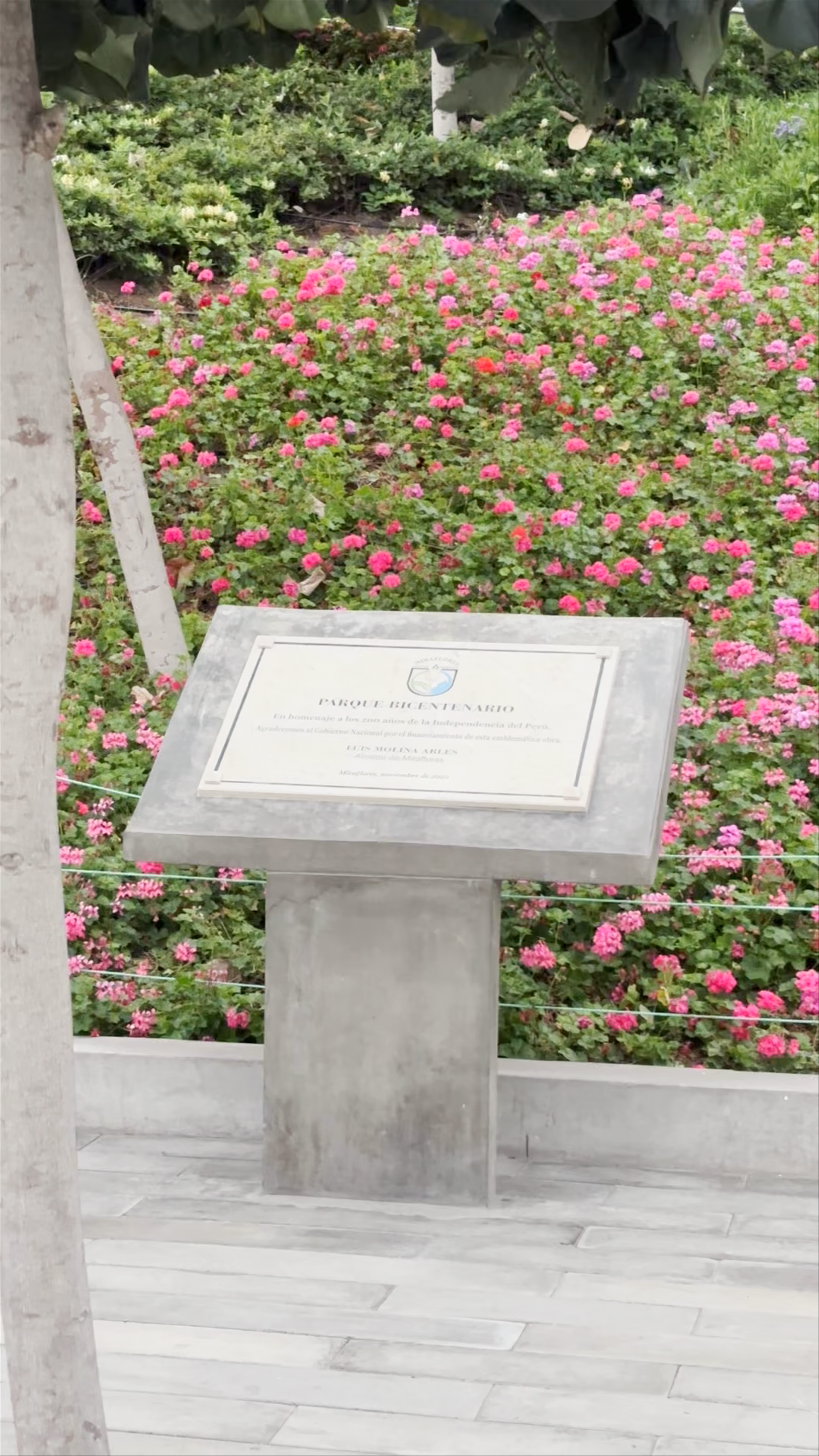 Parque Bicentenario Miraflores -ingreso 1
