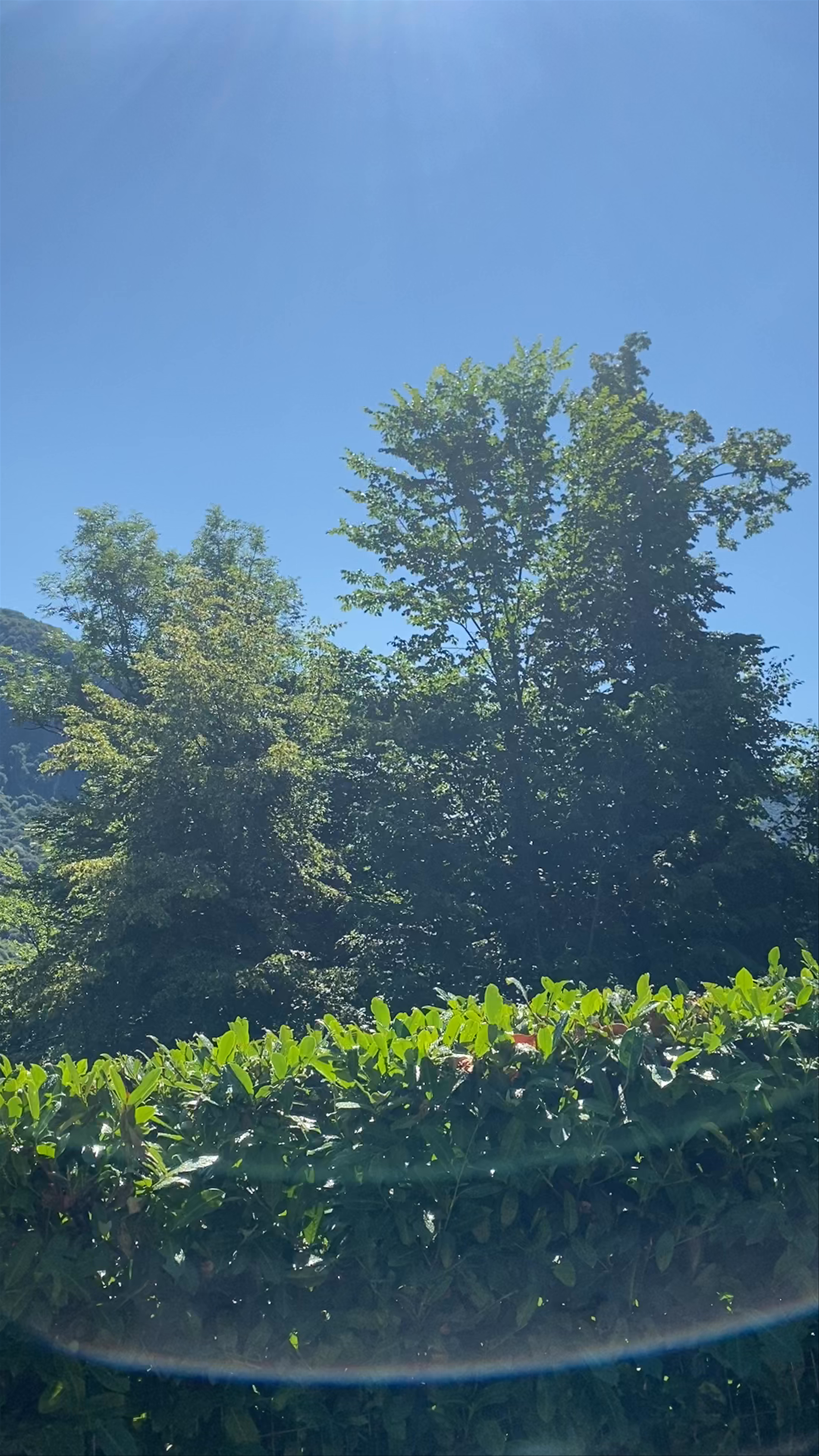 Tranquil Summer Day in Frazione Pizzino, Taleggio, Italy