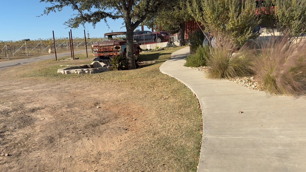 Lucky Vines Vineyard & Winery - Play areas and space for kids to run around - Wineries Near Me - Dublin, Texas