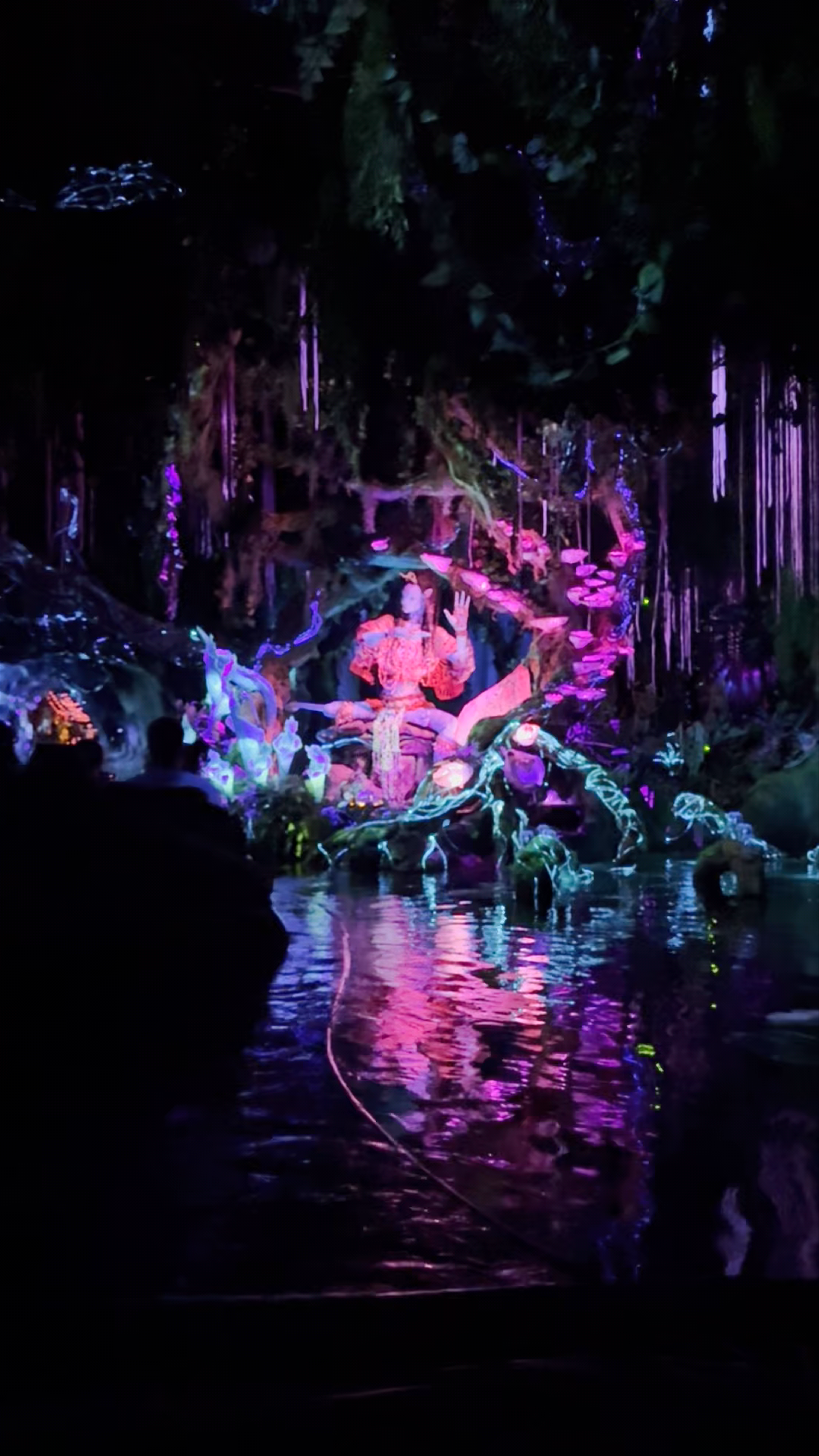 Disney's Animal Kingdom Theme Park