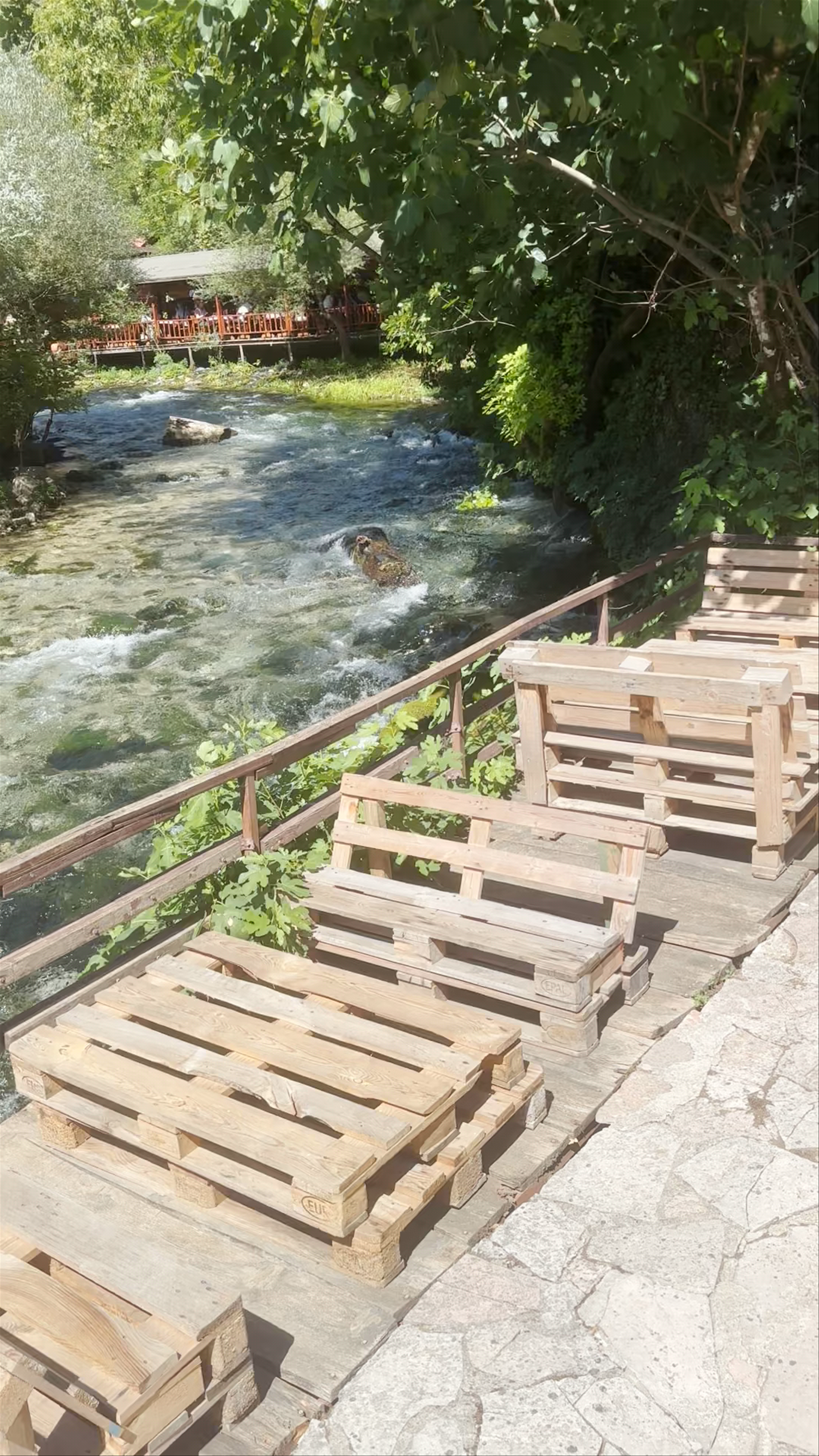 Blue Eye, Albania: A Hidden Oasis of Crystal Waters and Lush Serenity