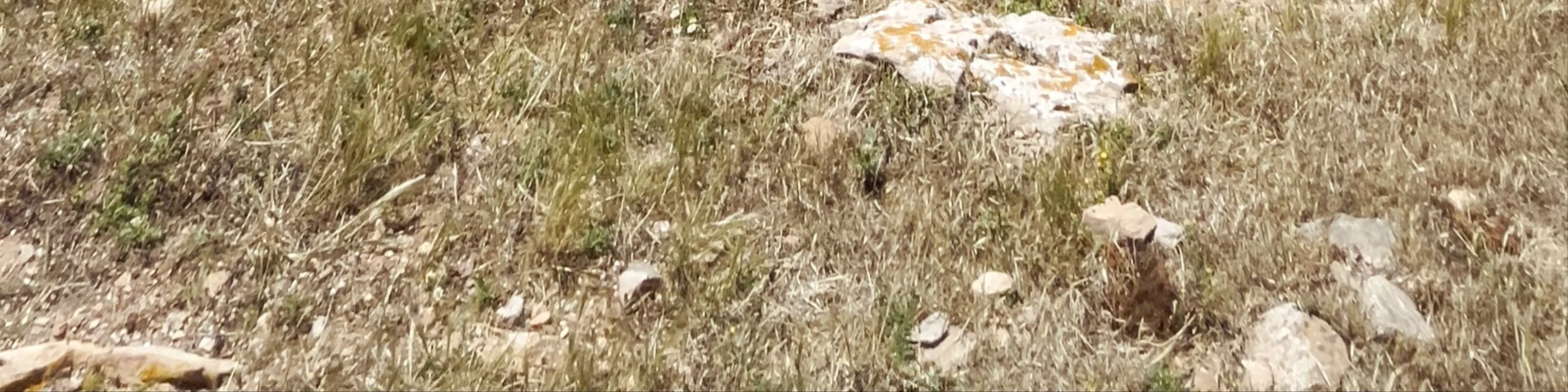 Torre di Capo Malfatano