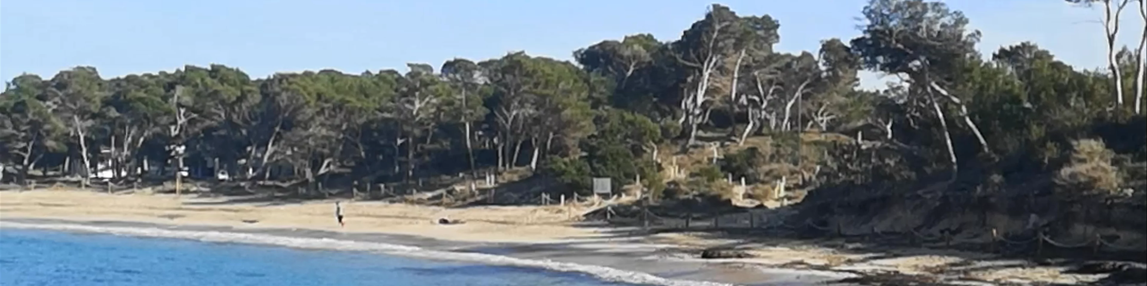 Platja Estanys