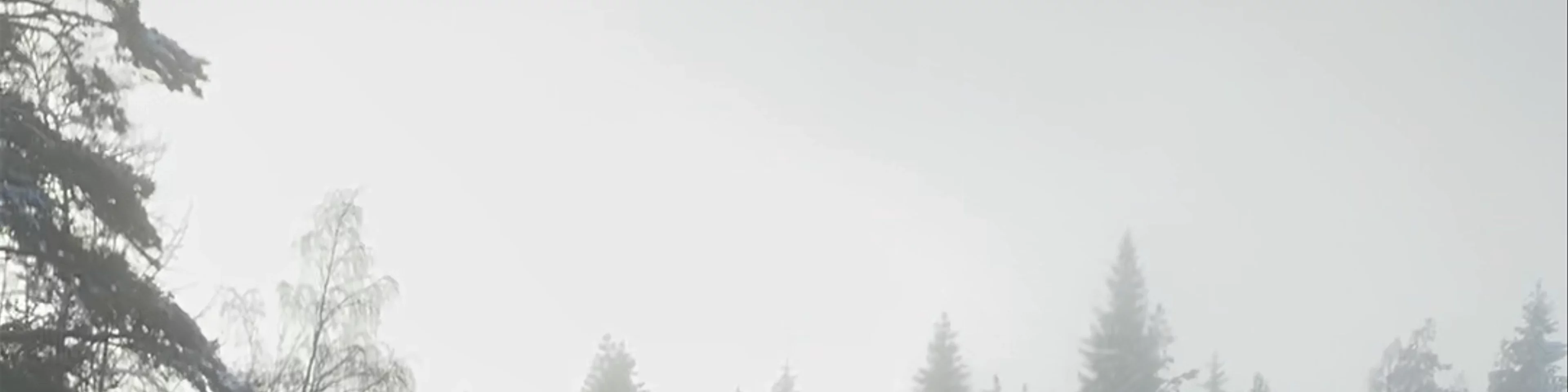 Plodda Falls