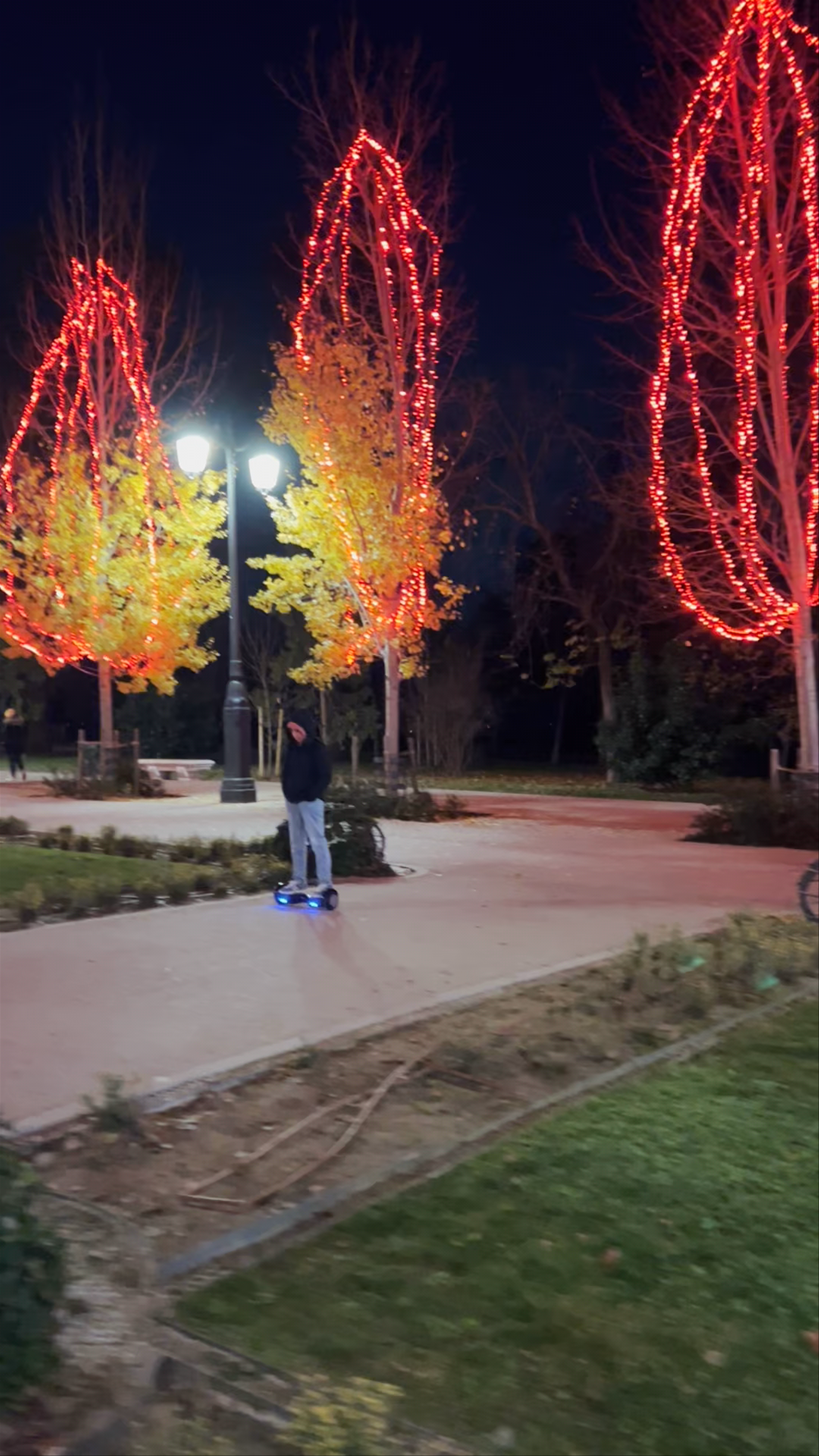 Parque de El Retiro
