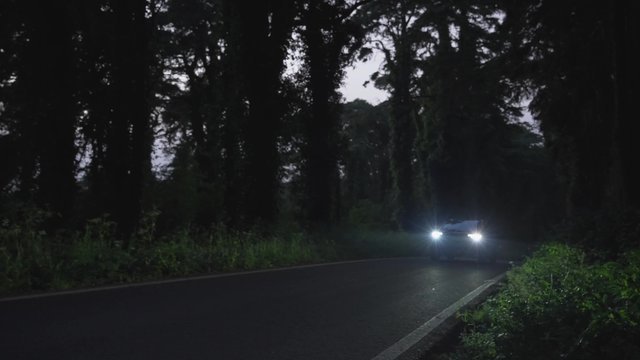 Electric car driving in the dark woods