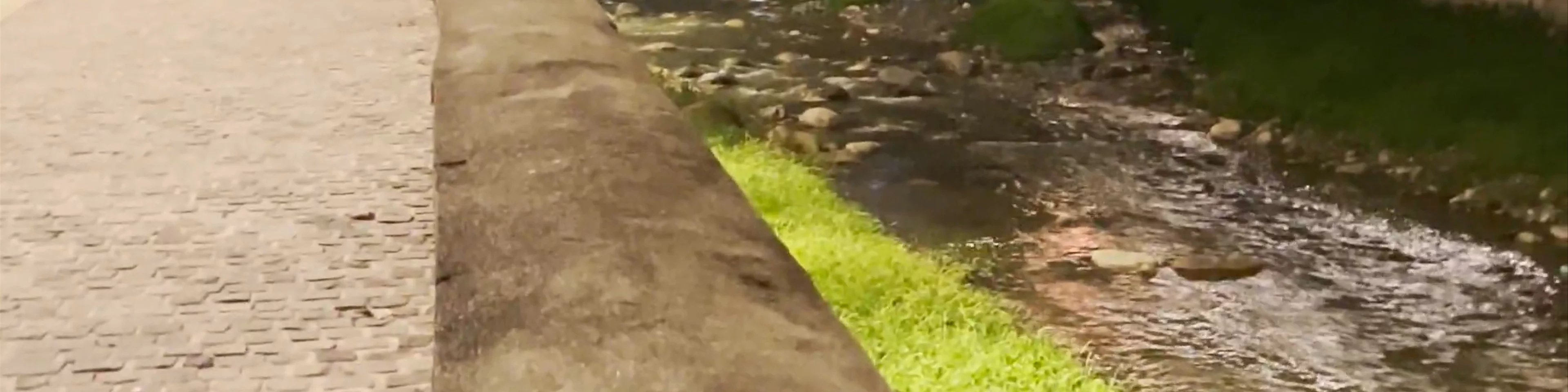 Stone bridge