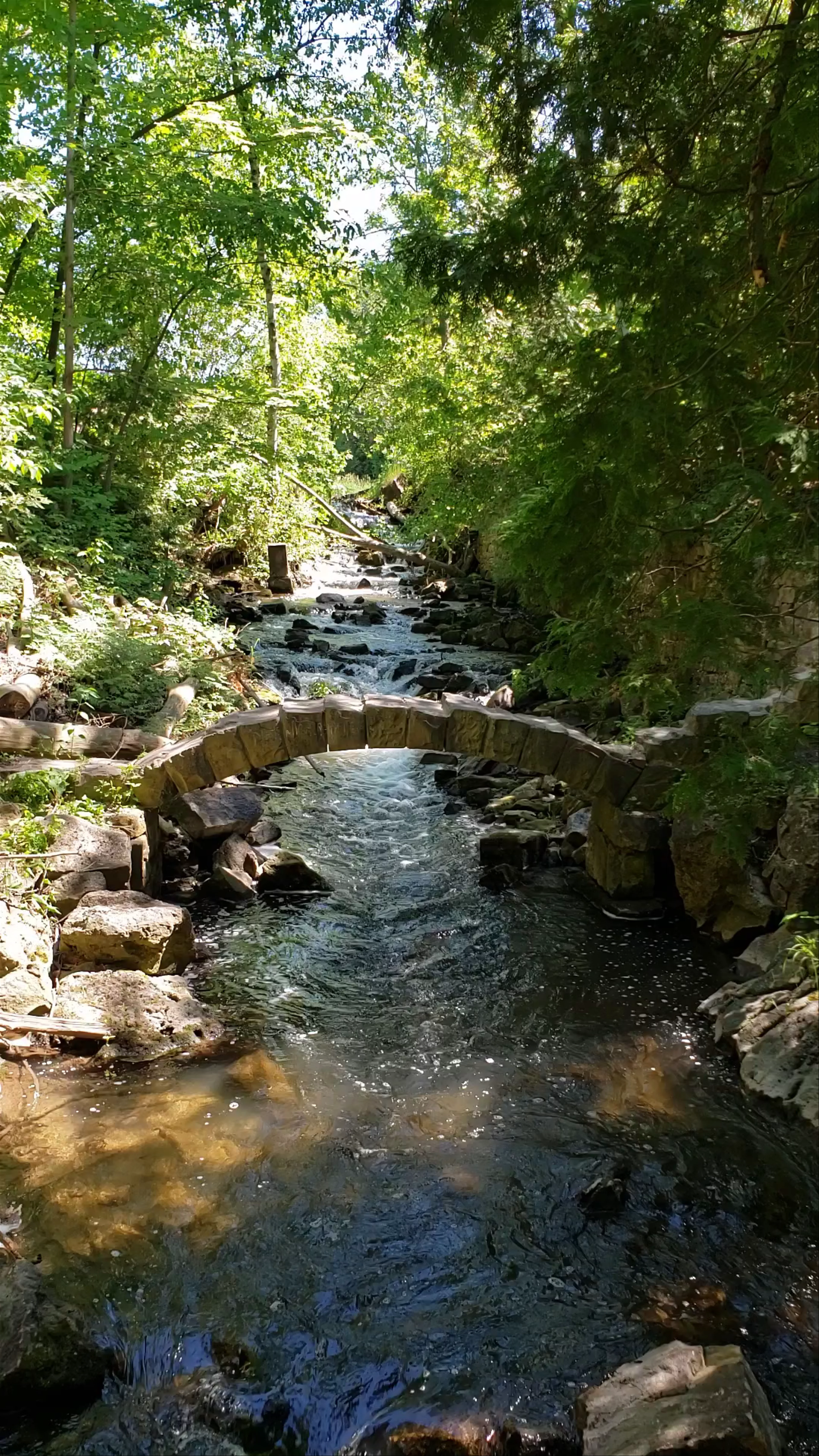Limehouse Conservation Area, 5th Line, Limehouse, ON, Canada
