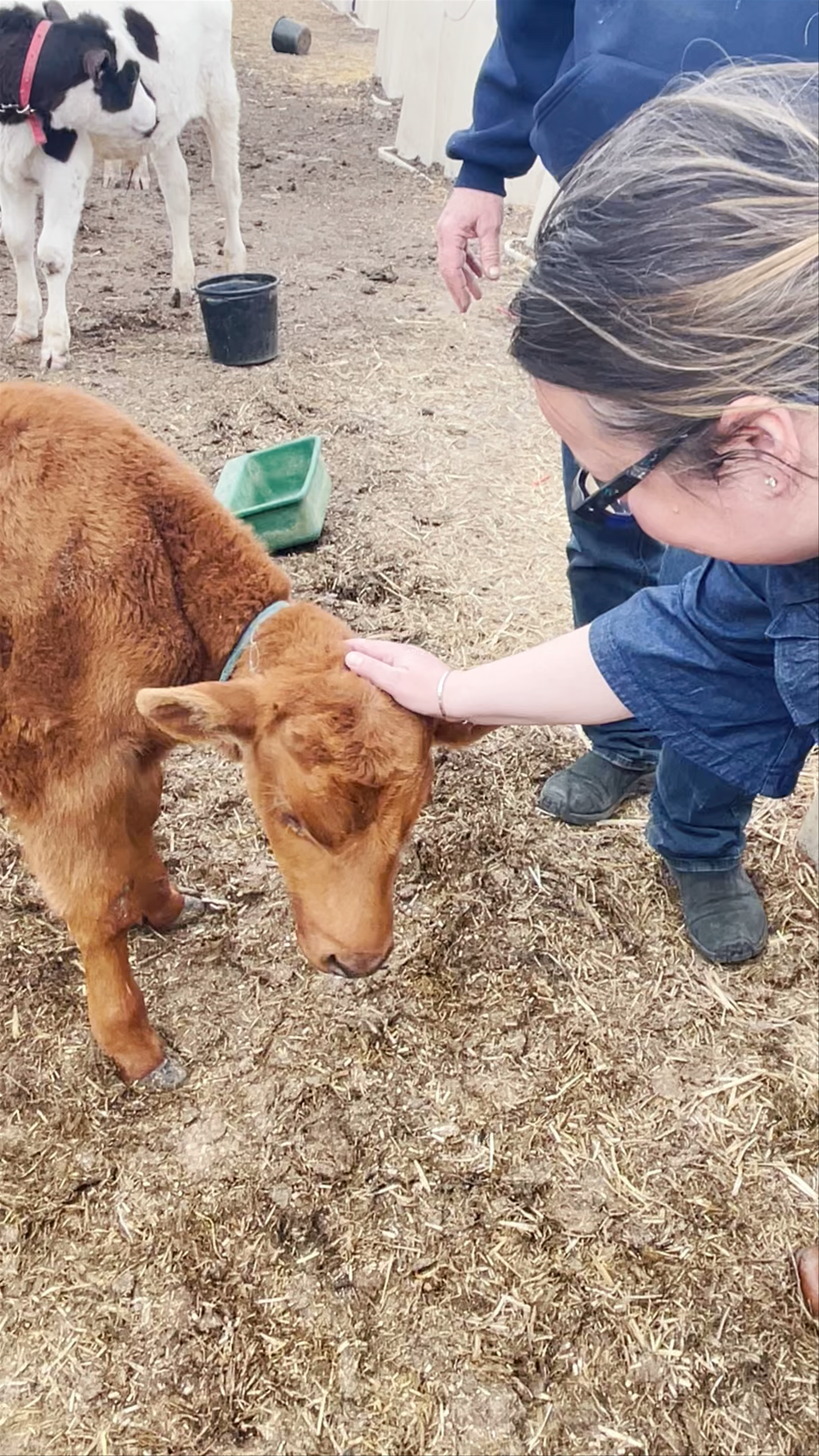 Heber Valley Milk & Artisan Cheese