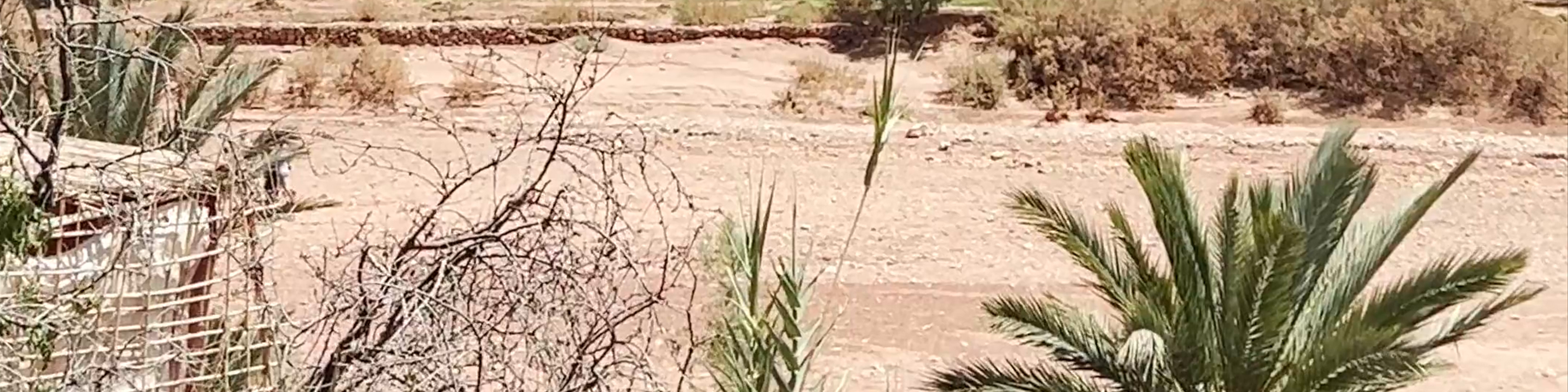 Ouarzazate